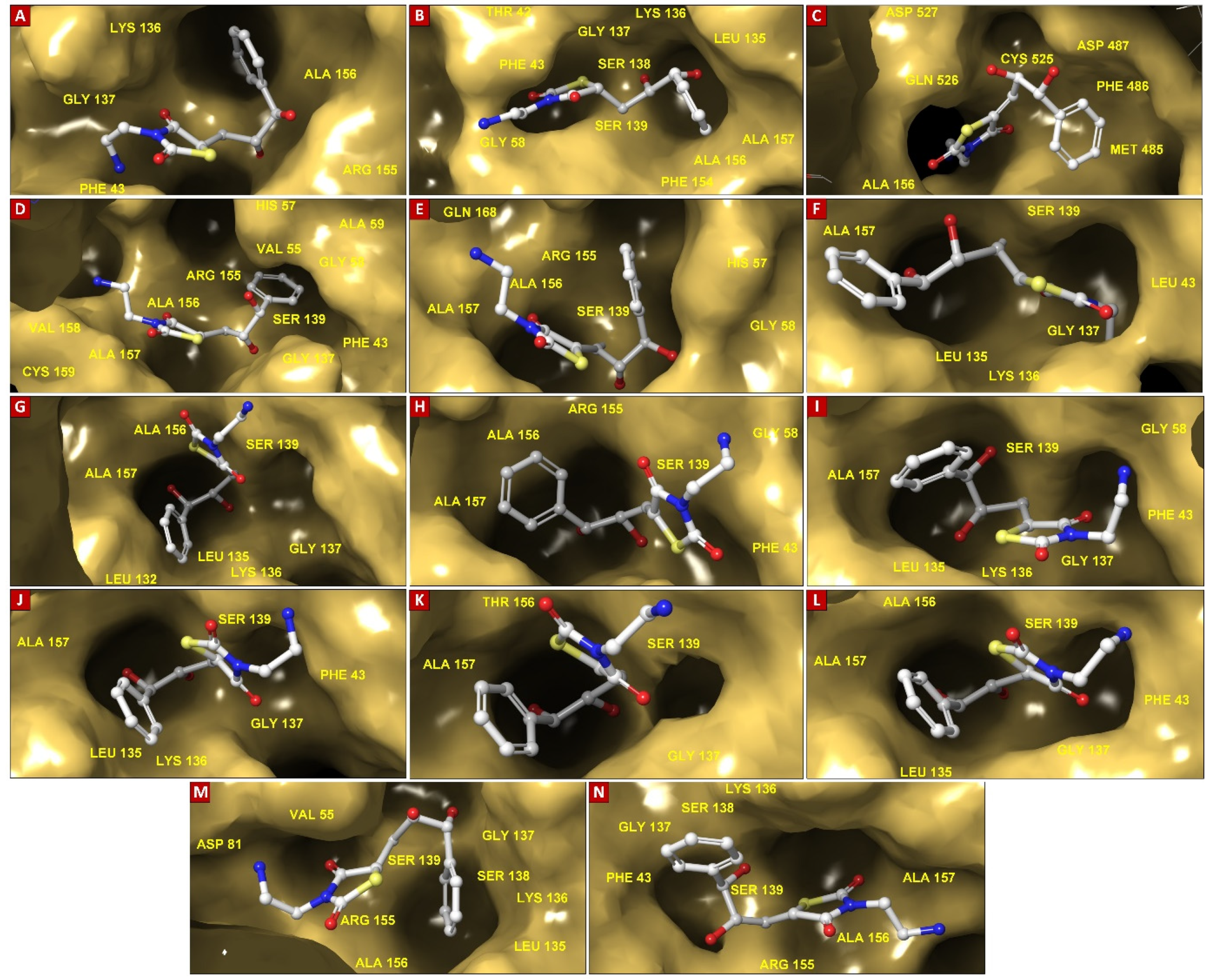Viruses 16 01250 g004 Viruses 16 01250 g004