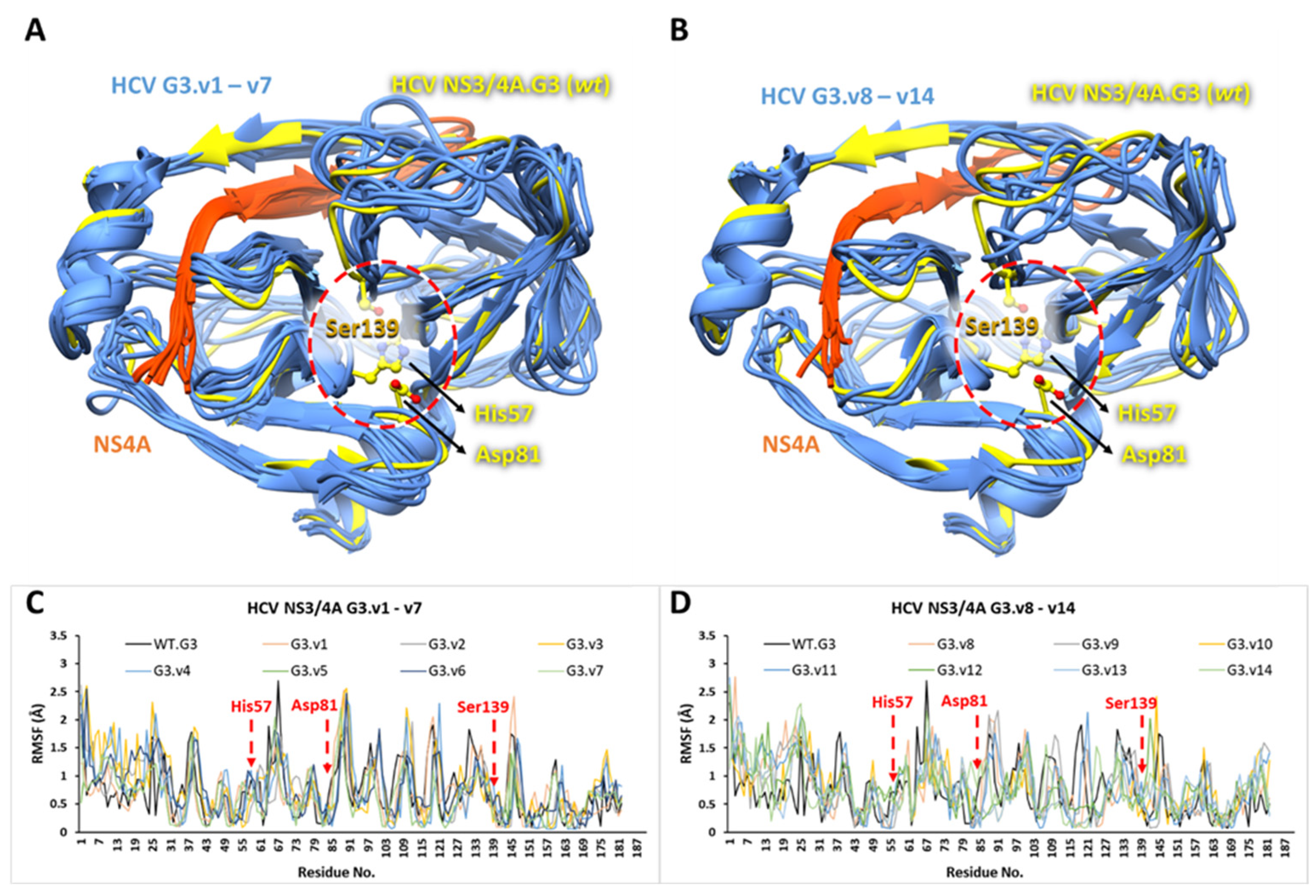 Viruses 16 01250 g007 Viruses 16 01250 g007