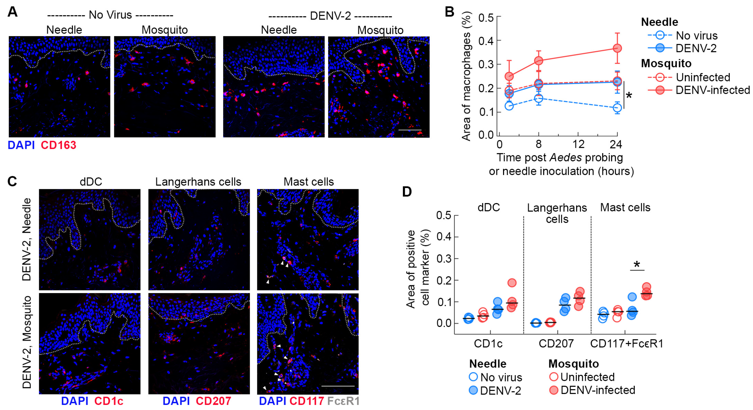 Viruses 16 01253 g002 Viruses 16 01253 g002