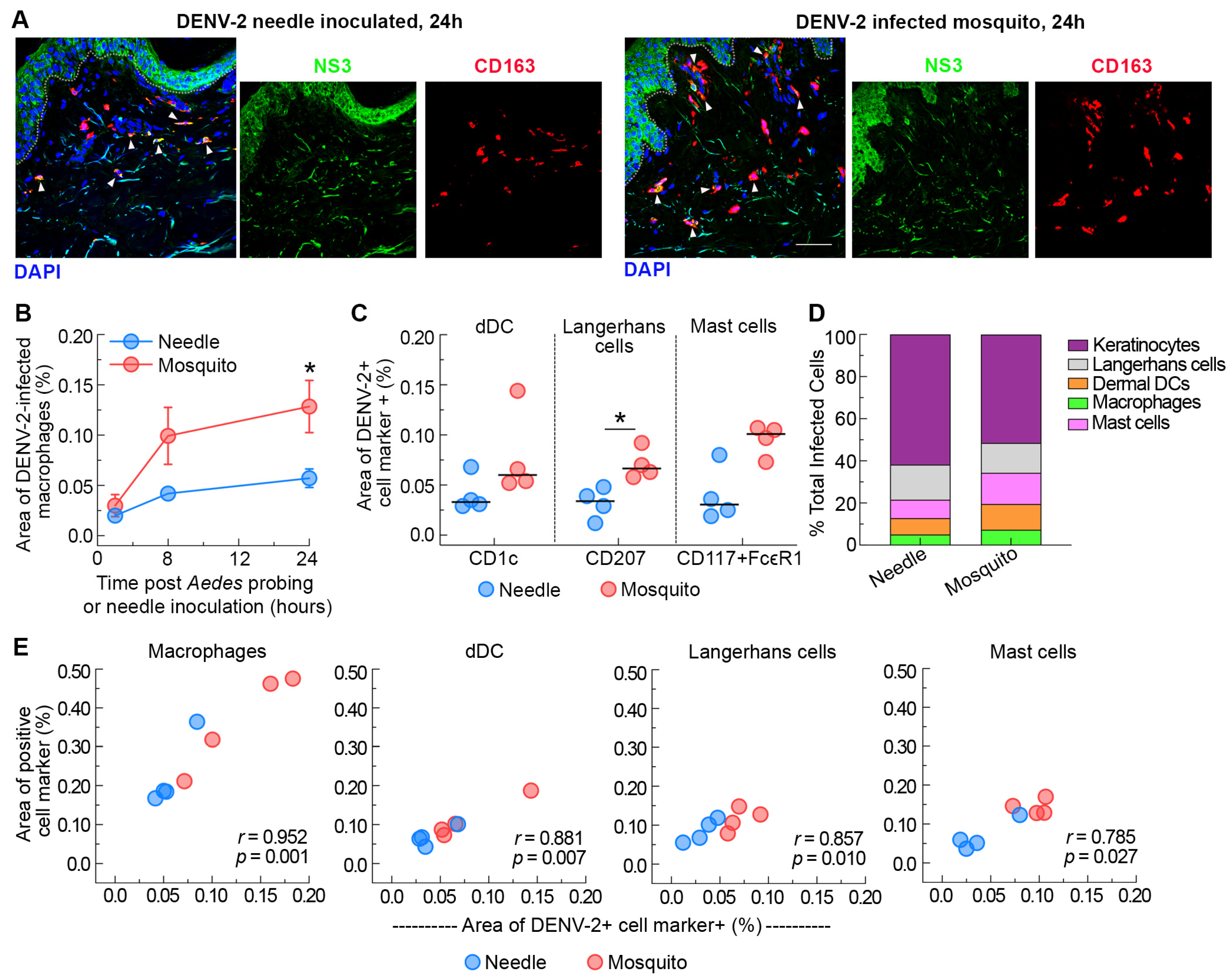 Viruses 16 01253 g003 Viruses 16 01253 g003