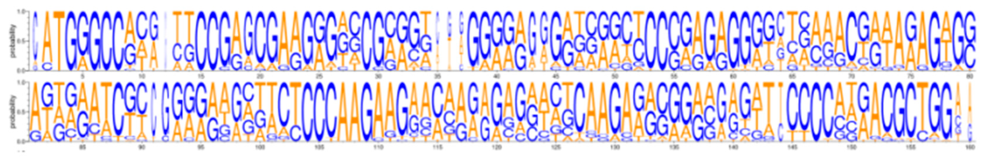 Viruses 16 01254 g004