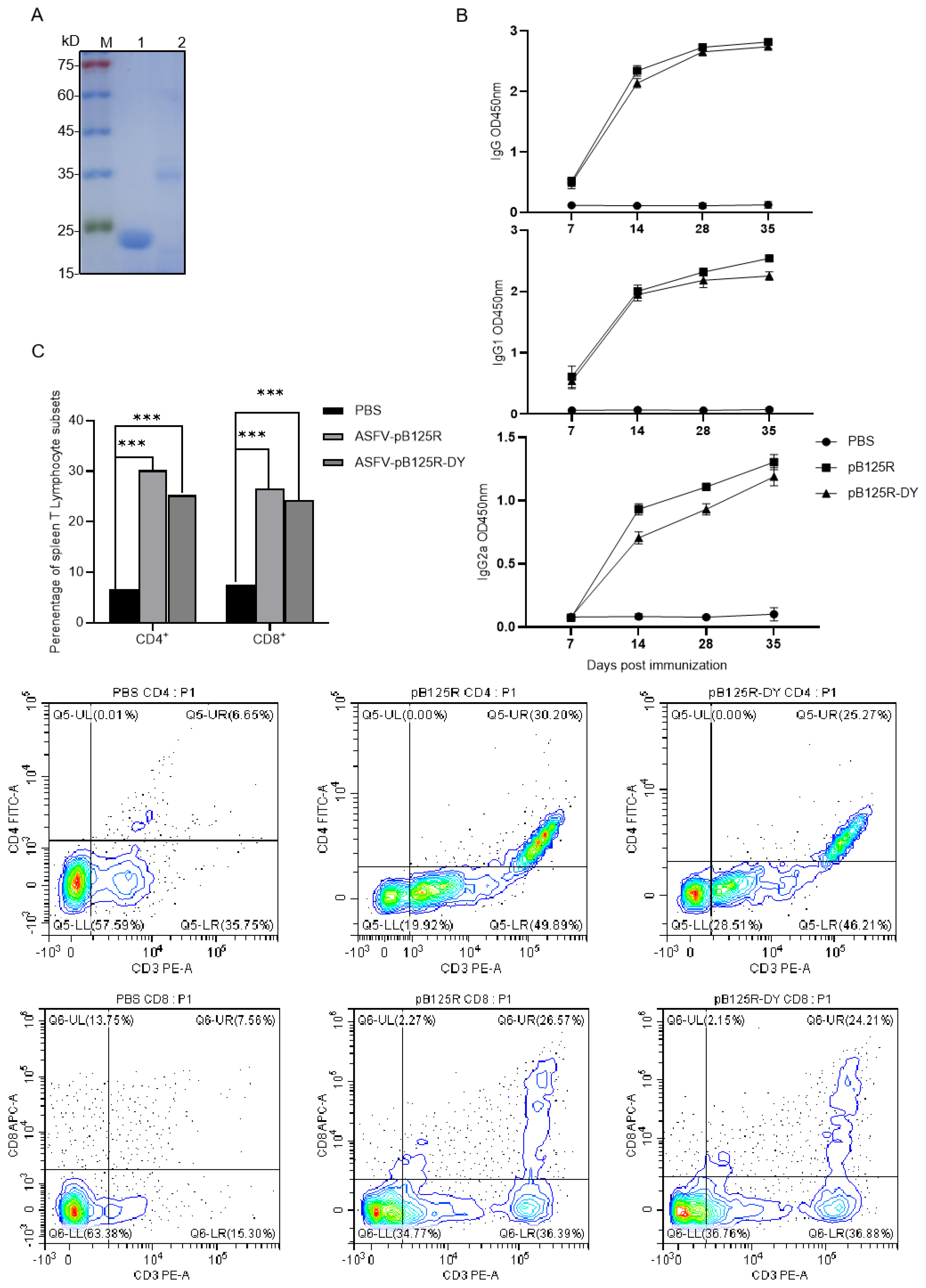 Viruses 16 01257 g006