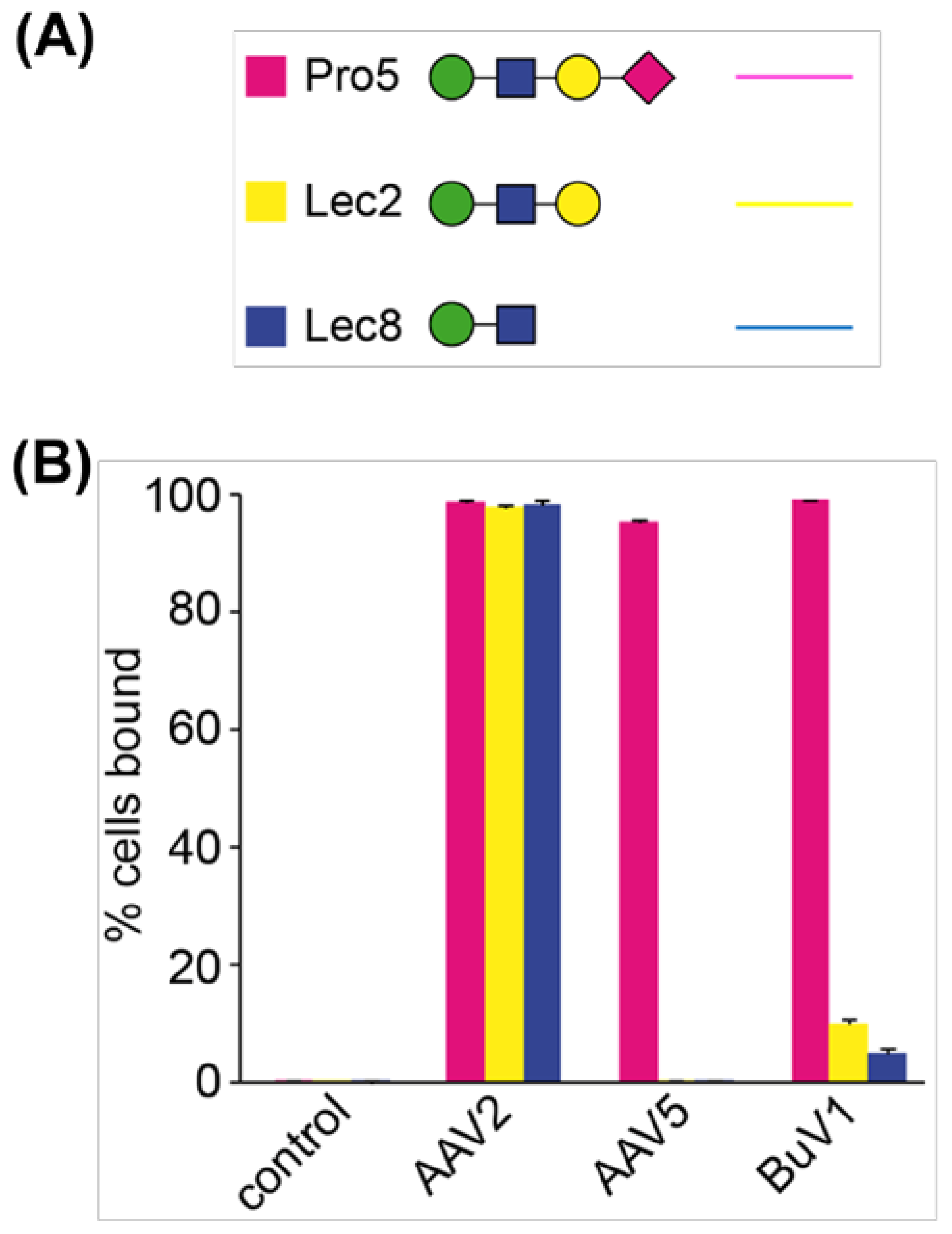 Viruses 16 01258 g002