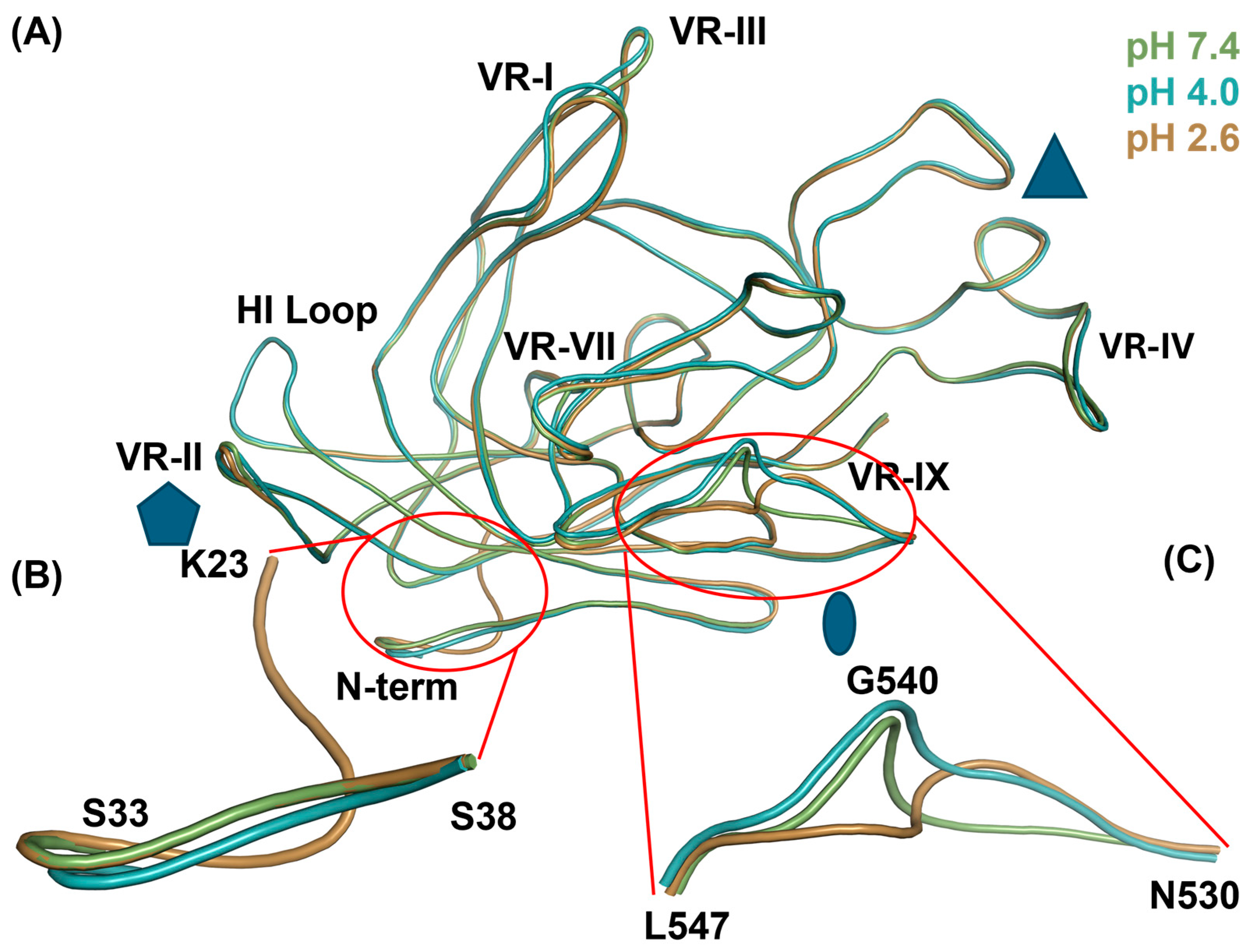 Viruses 16 01258 g006
