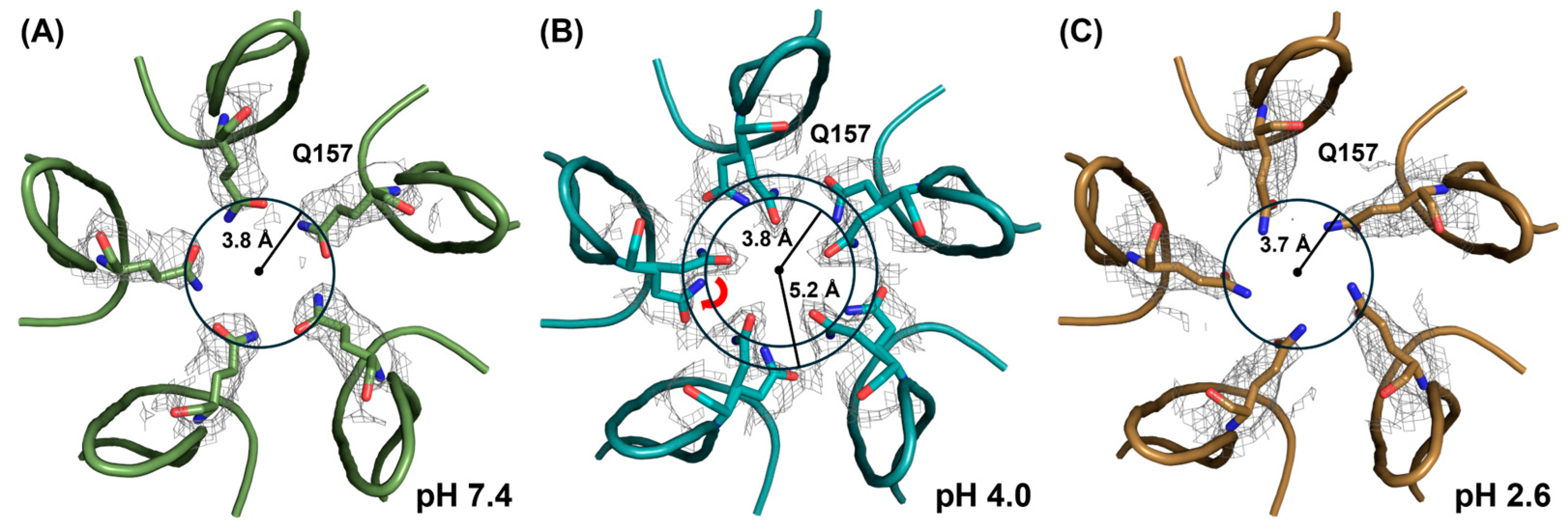 Viruses 16 01258 g007