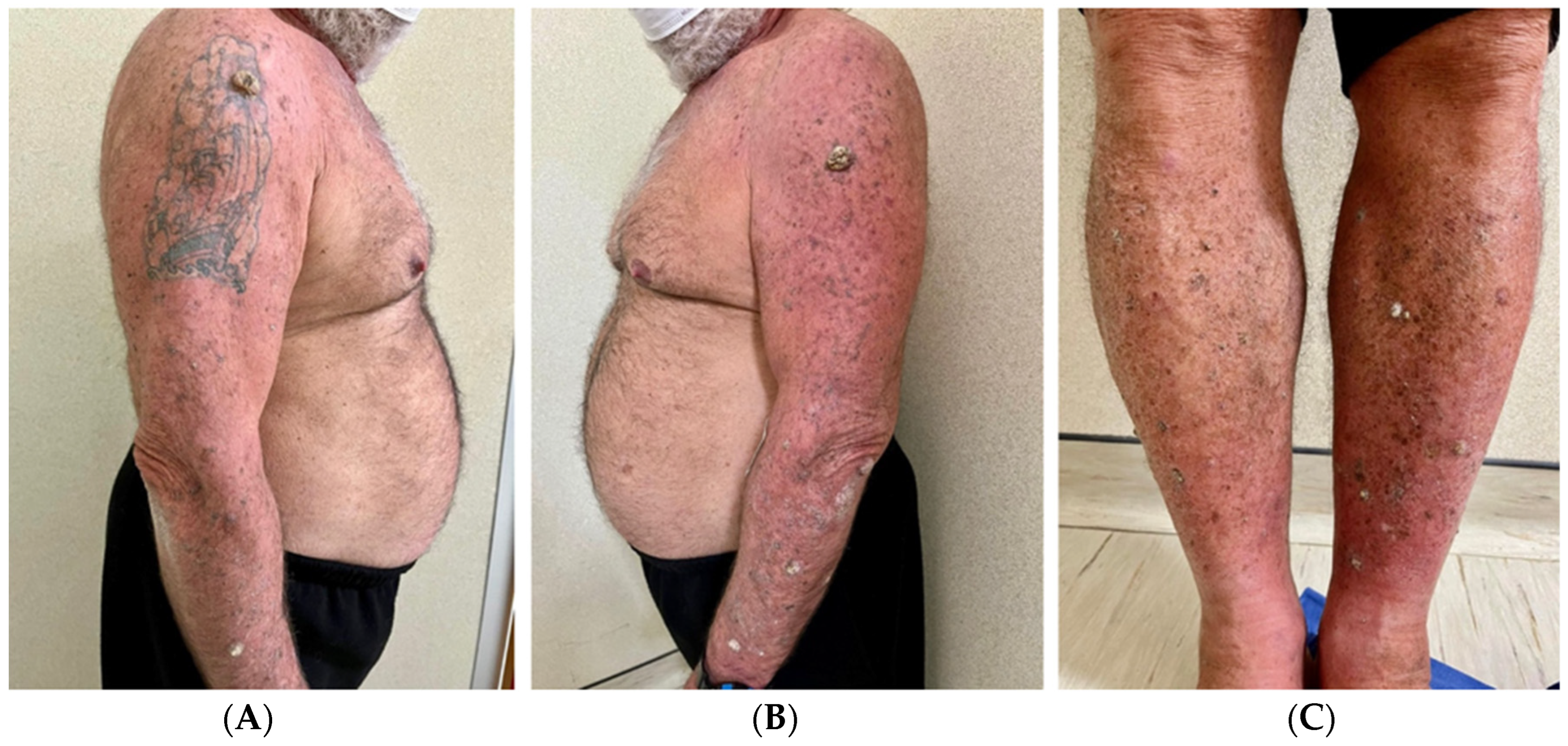 Viruses 16 01260 g001