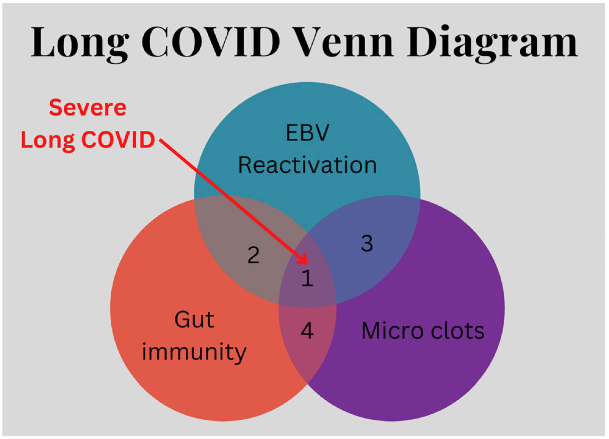 Viruses 16 01266 g002