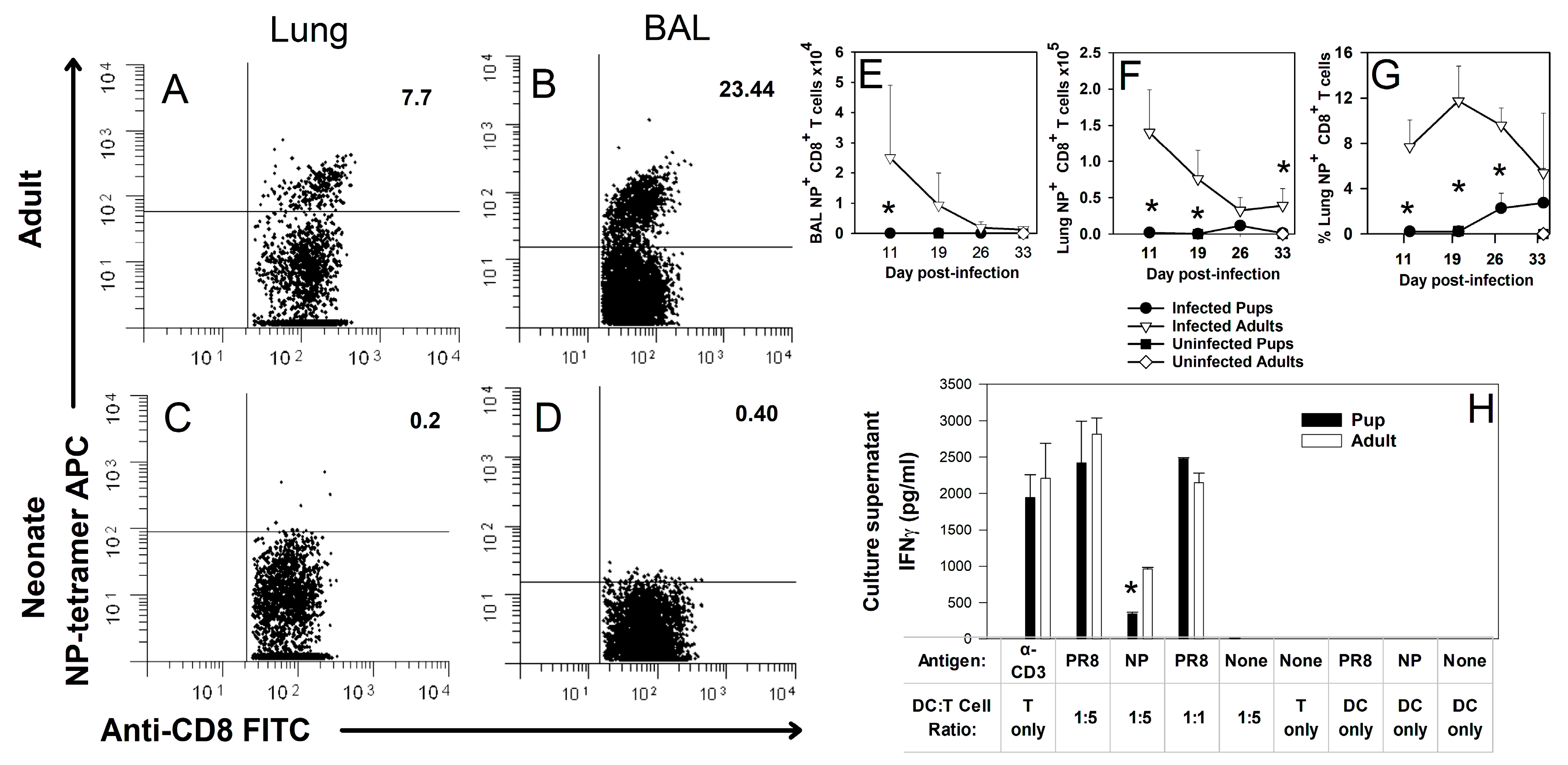 Viruses 16 01271 g001 Viruses 16 01271 g001