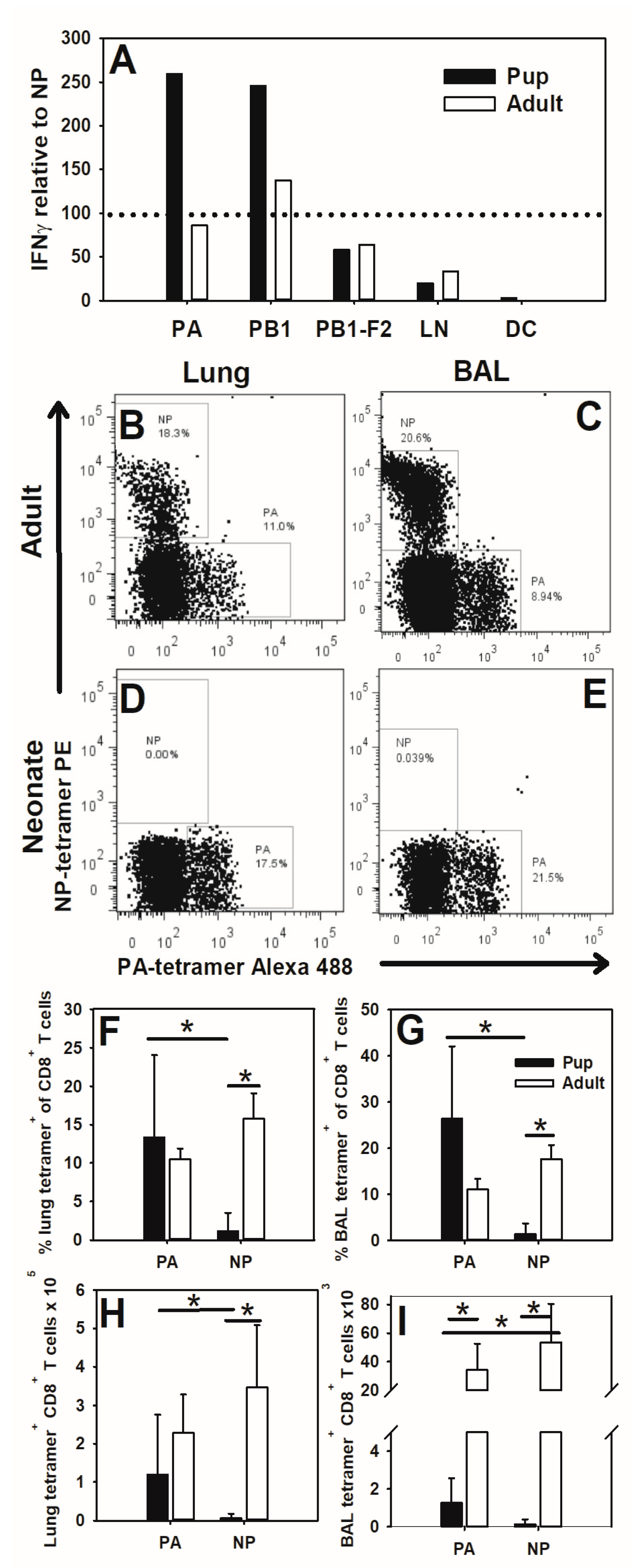 Viruses 16 01271 g002 Viruses 16 01271 g002