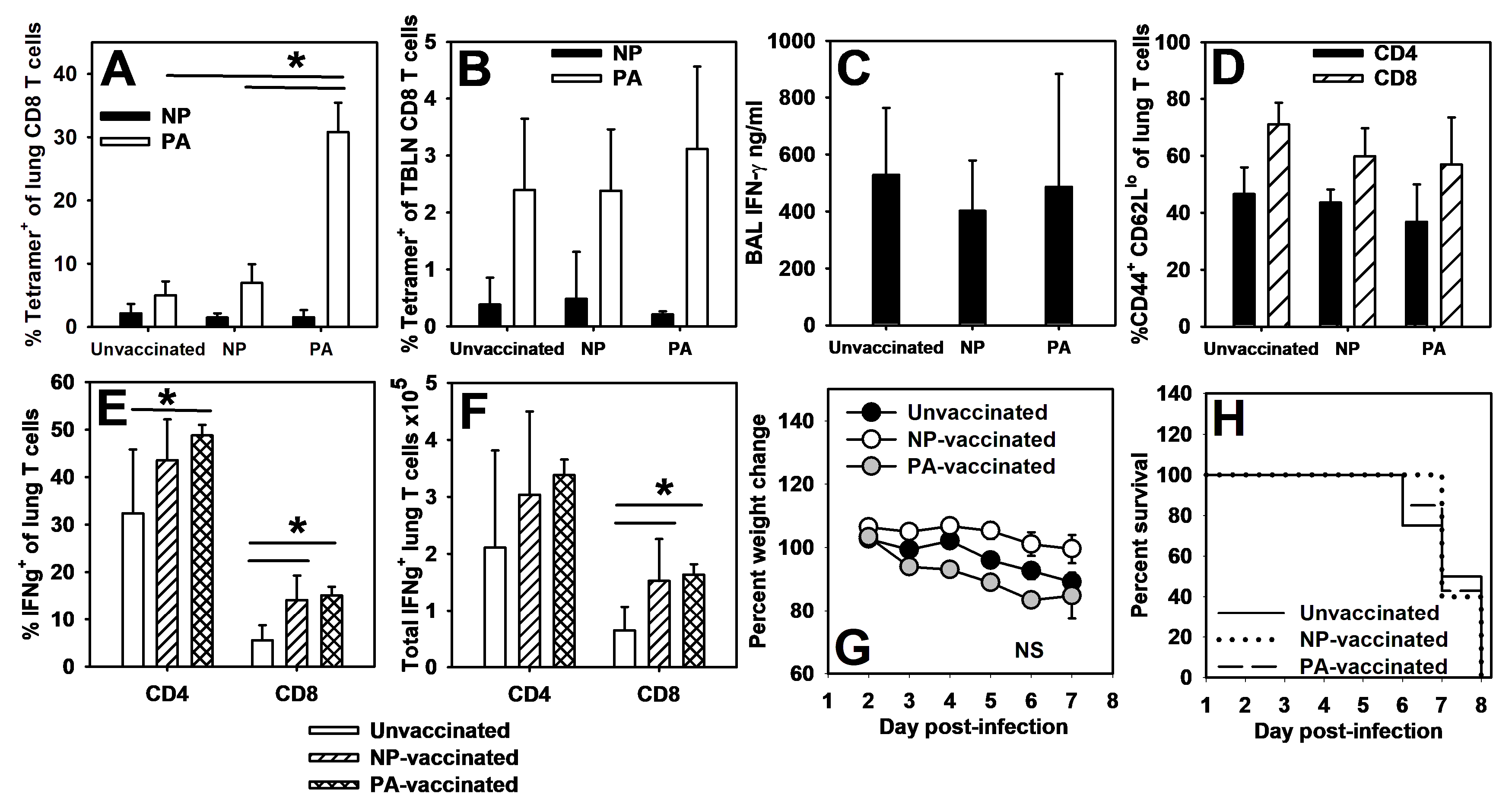 Viruses 16 01271 g005 Viruses 16 01271 g005