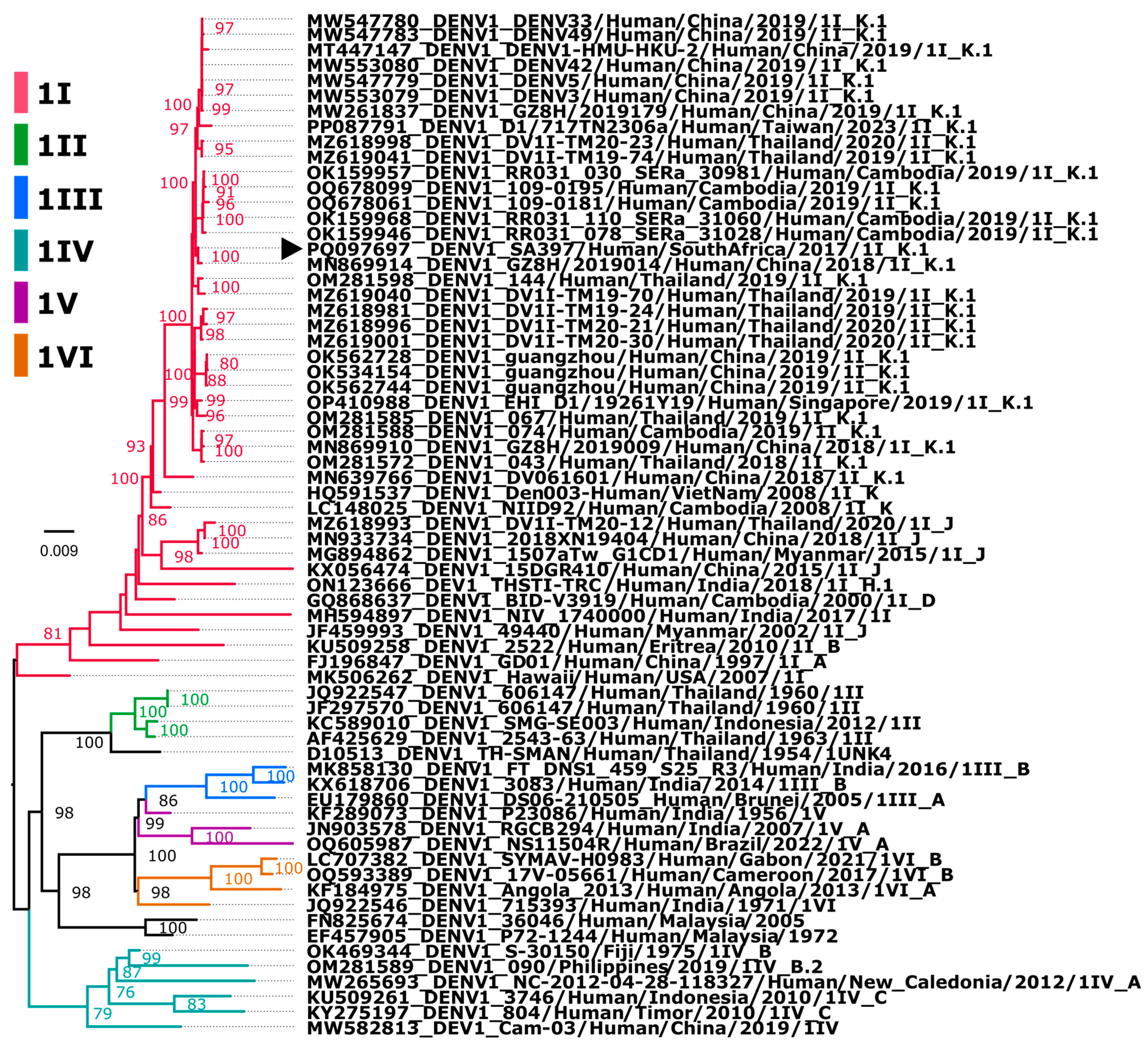 Viruses 16 01274 g001