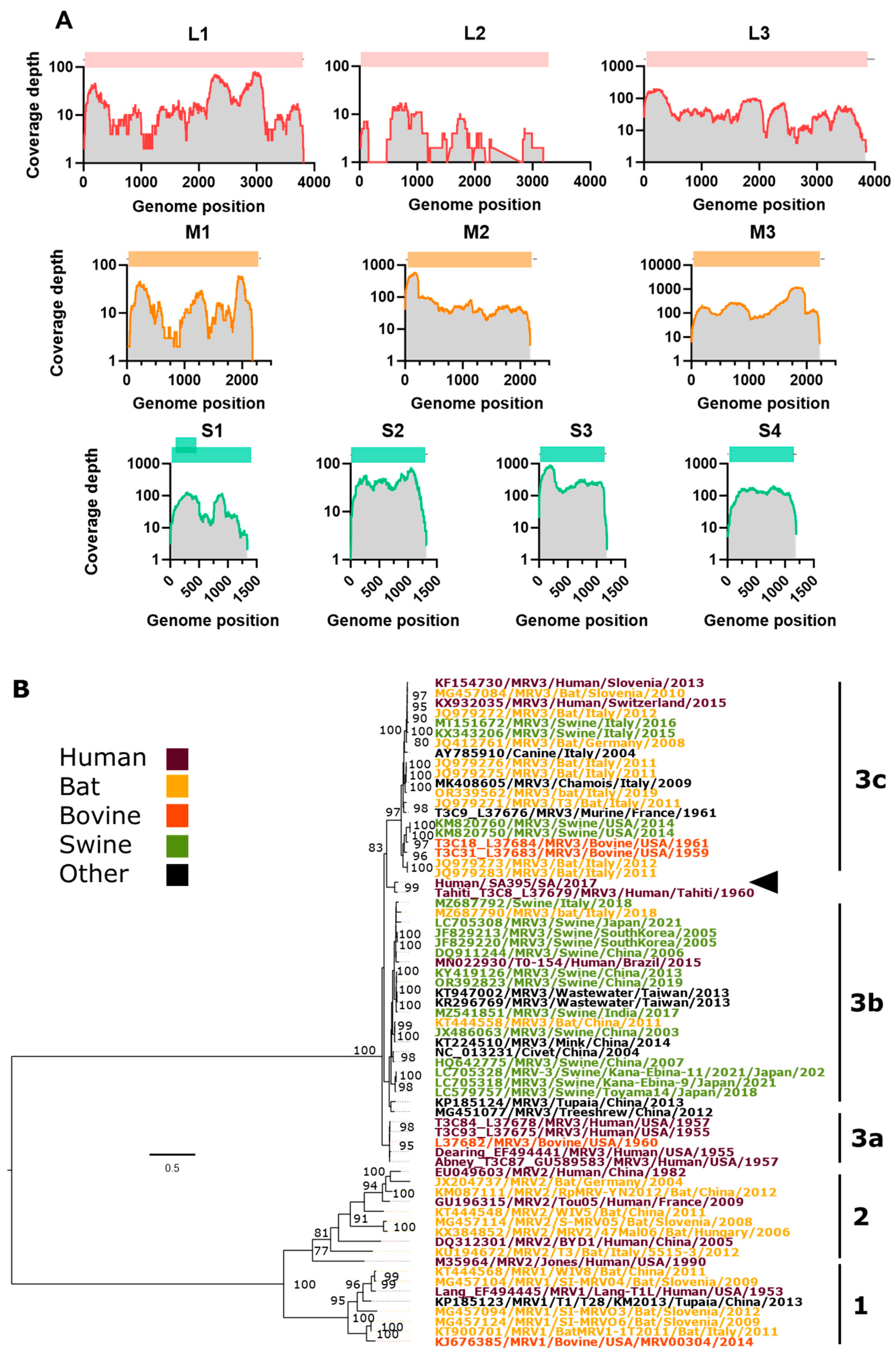 Viruses 16 01274 g002