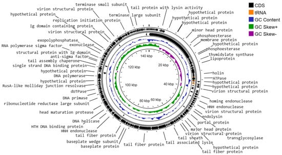 Viruses 16 01275 g008