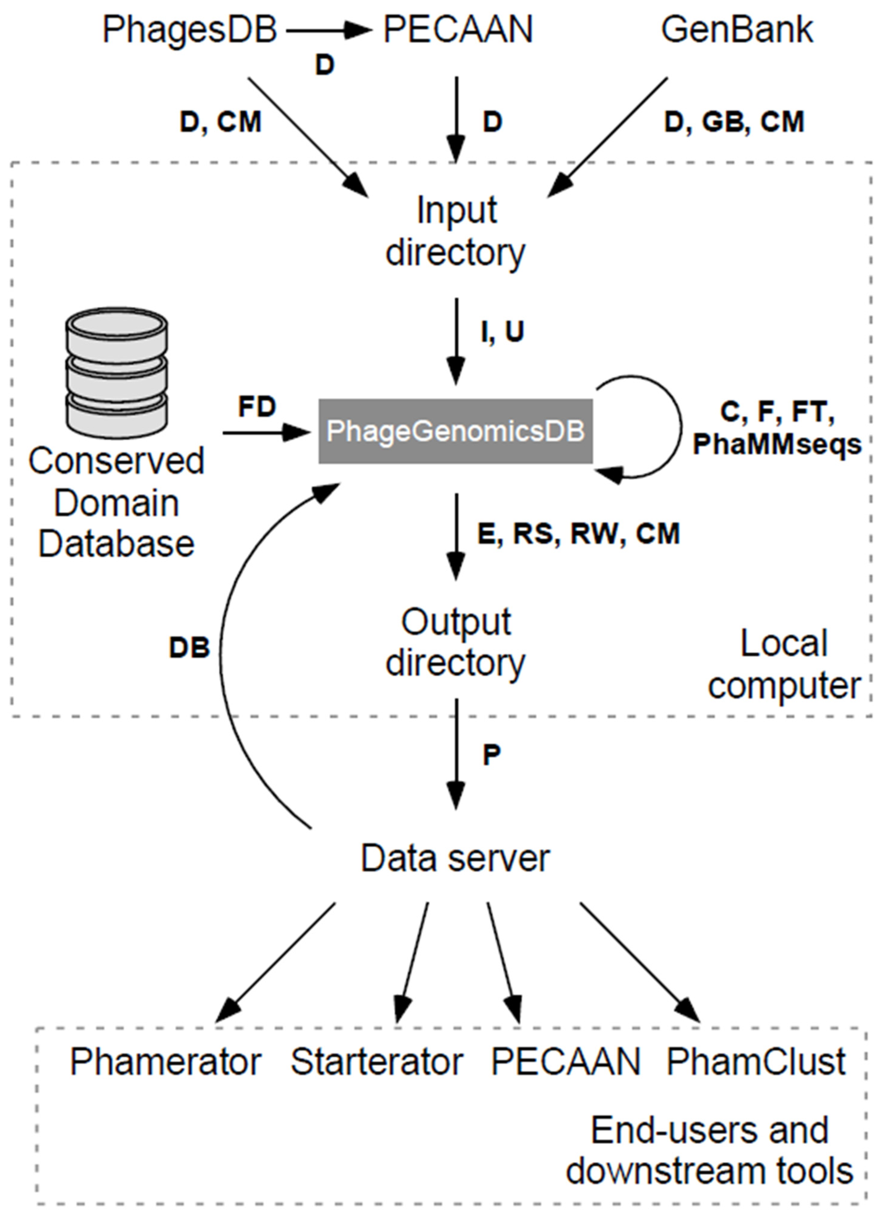 Viruses 16 01278 g001