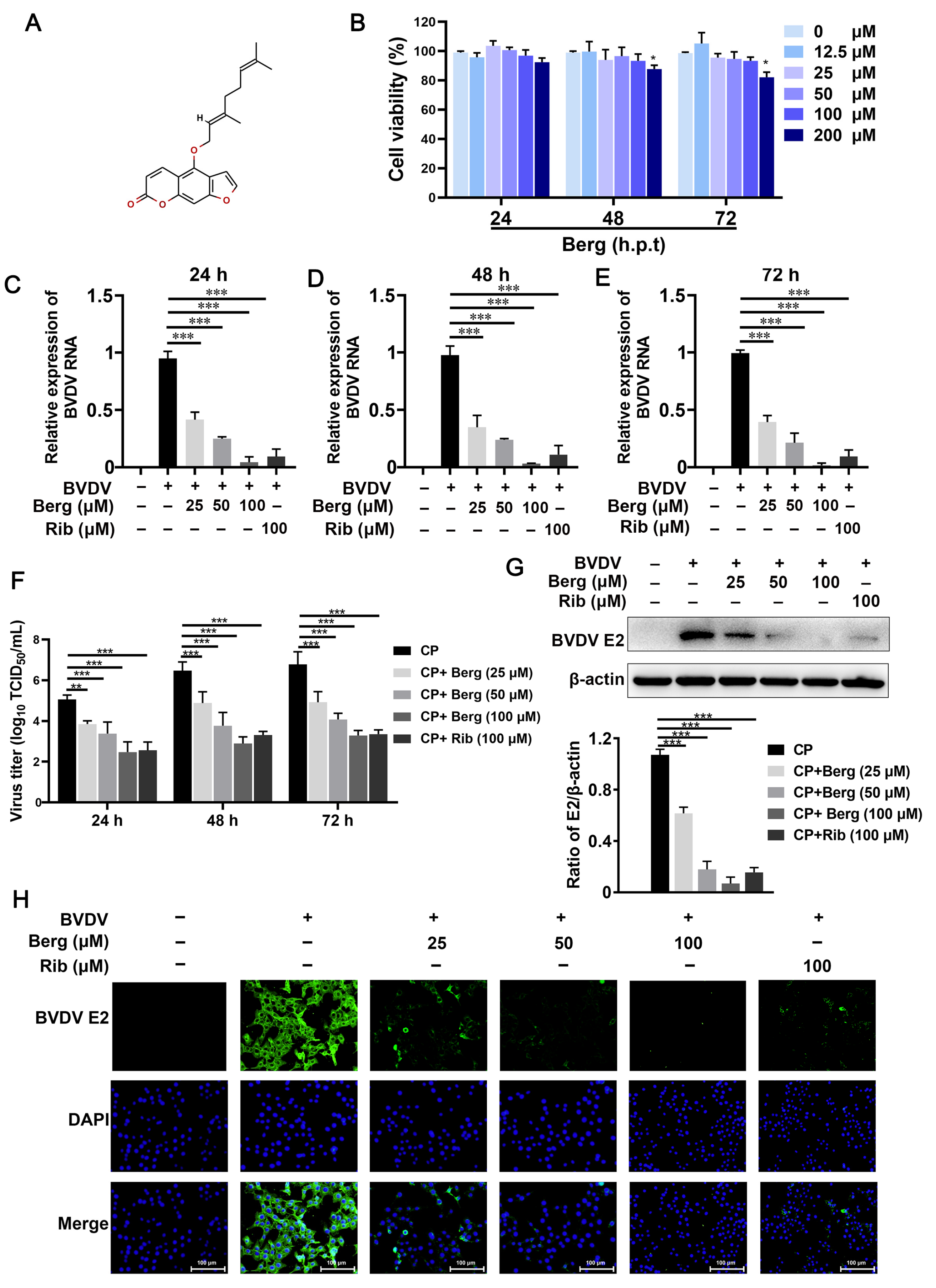 Viruses 16 01287 g001 Viruses 16 01287 g001