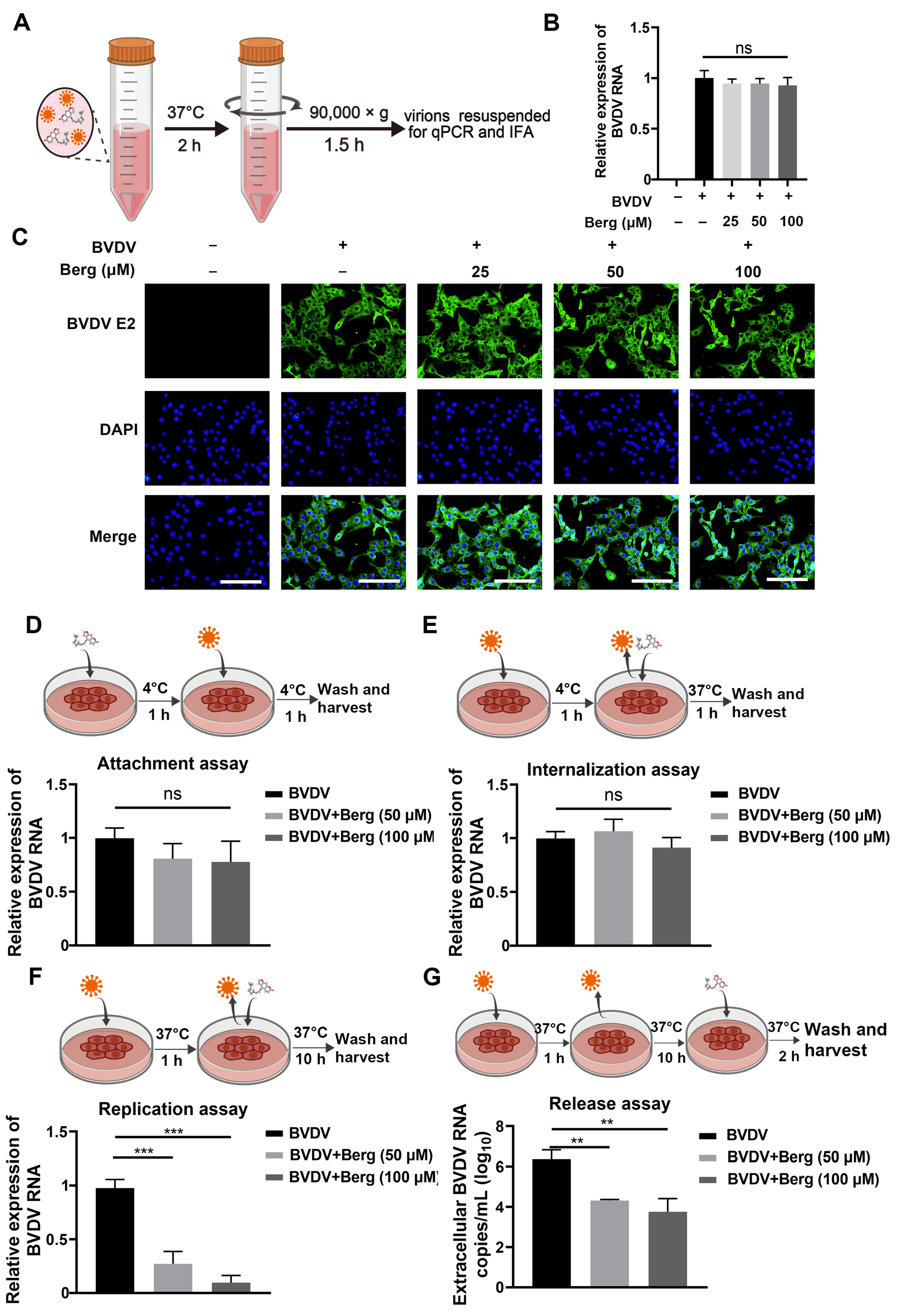 Viruses 16 01287 g002 Viruses 16 01287 g002