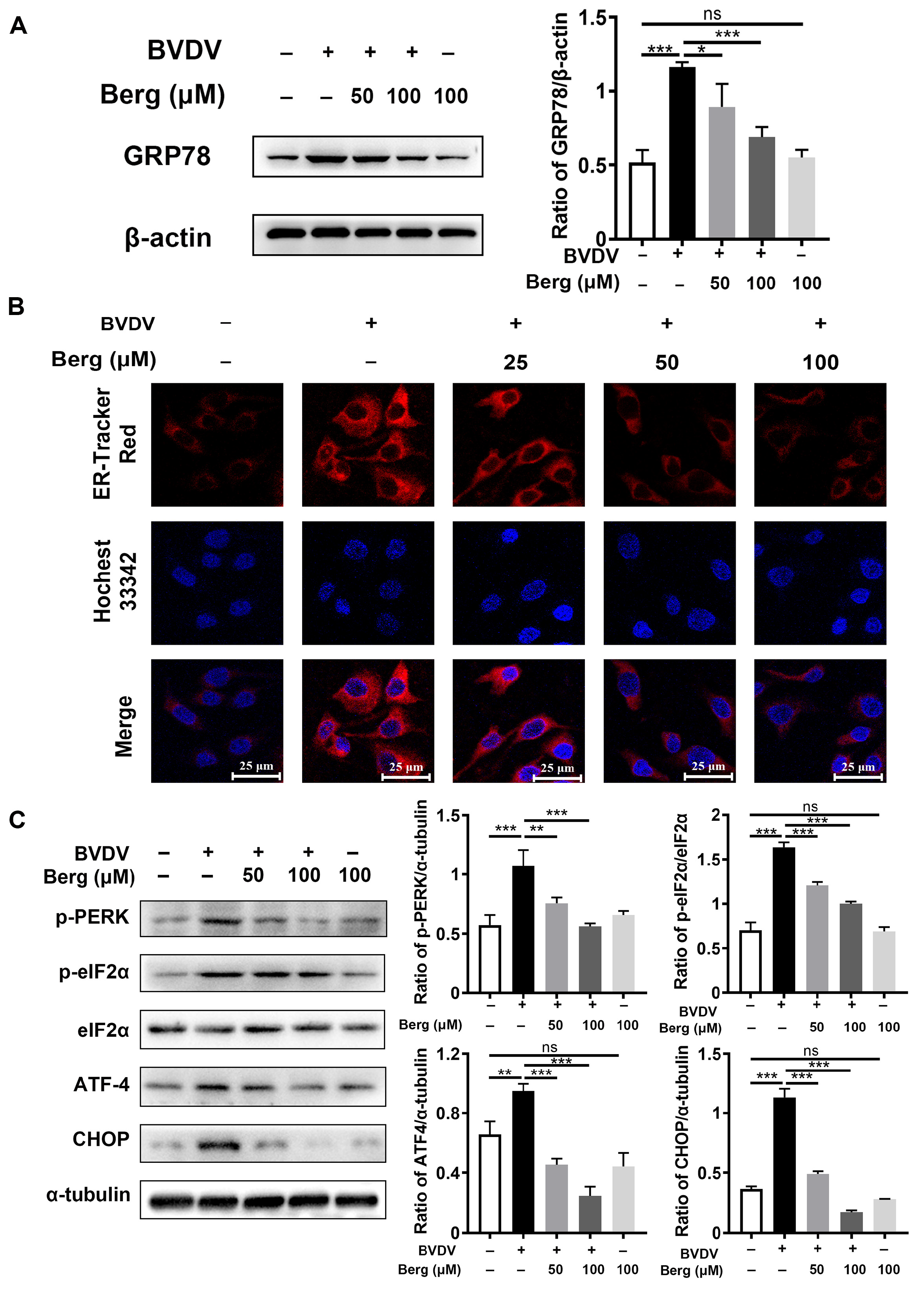 Viruses 16 01287 g003 Viruses 16 01287 g003