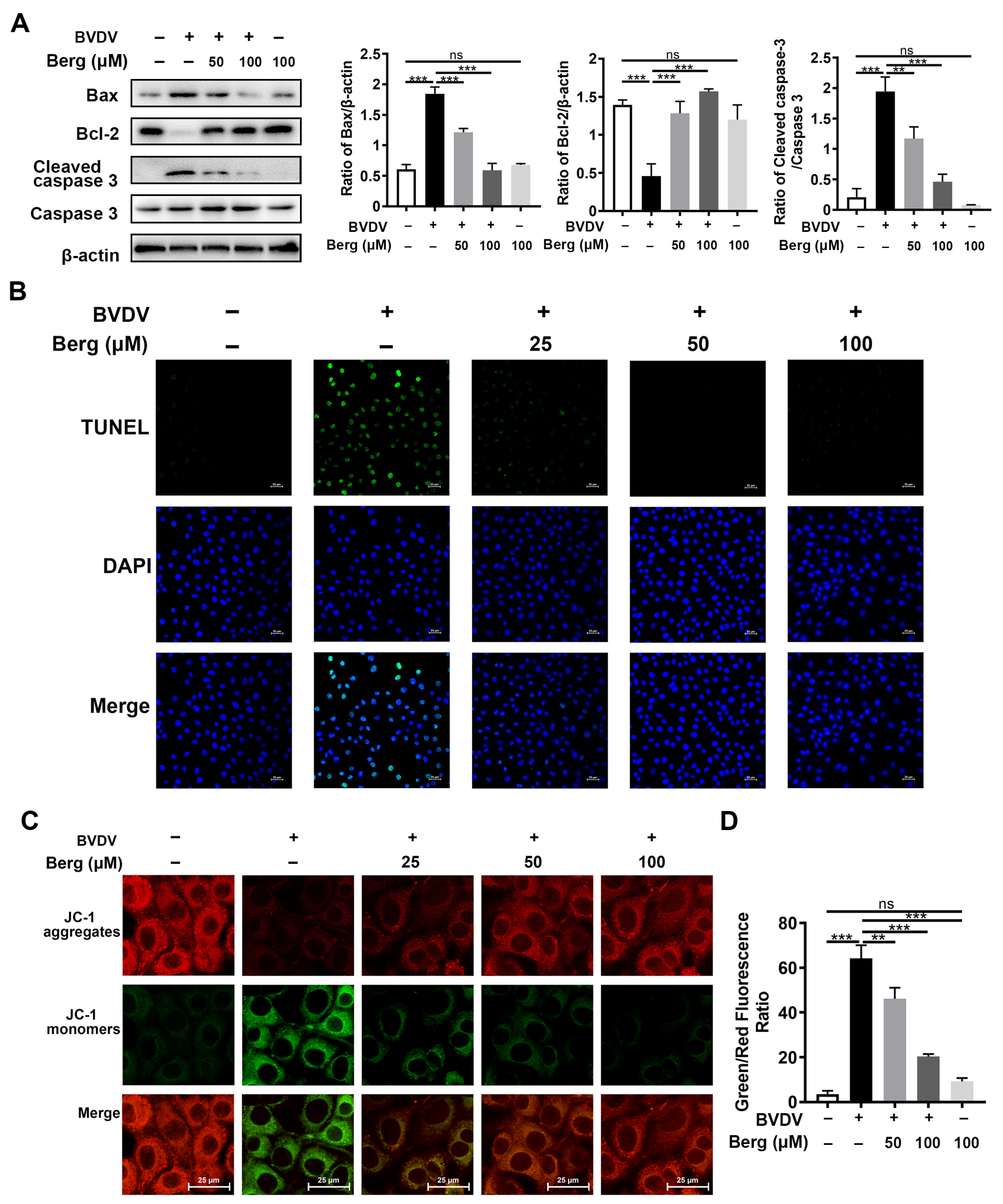 Viruses 16 01287 g004 Viruses 16 01287 g004