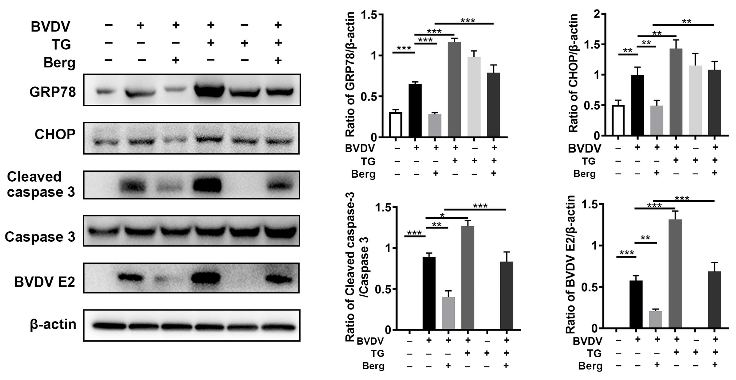 Viruses 16 01287 g005 Viruses 16 01287 g005