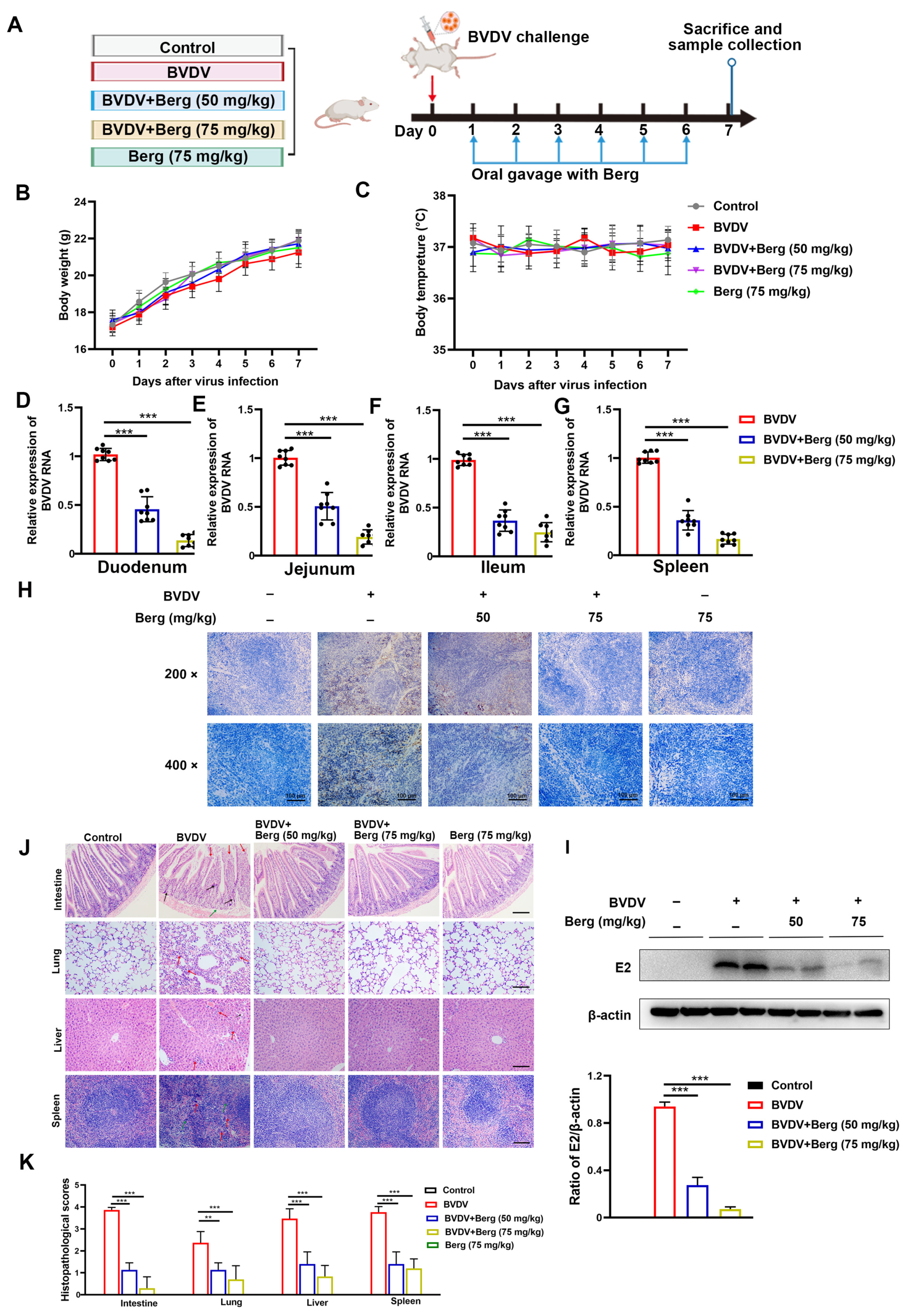 Viruses 16 01287 g007 Viruses 16 01287 g007