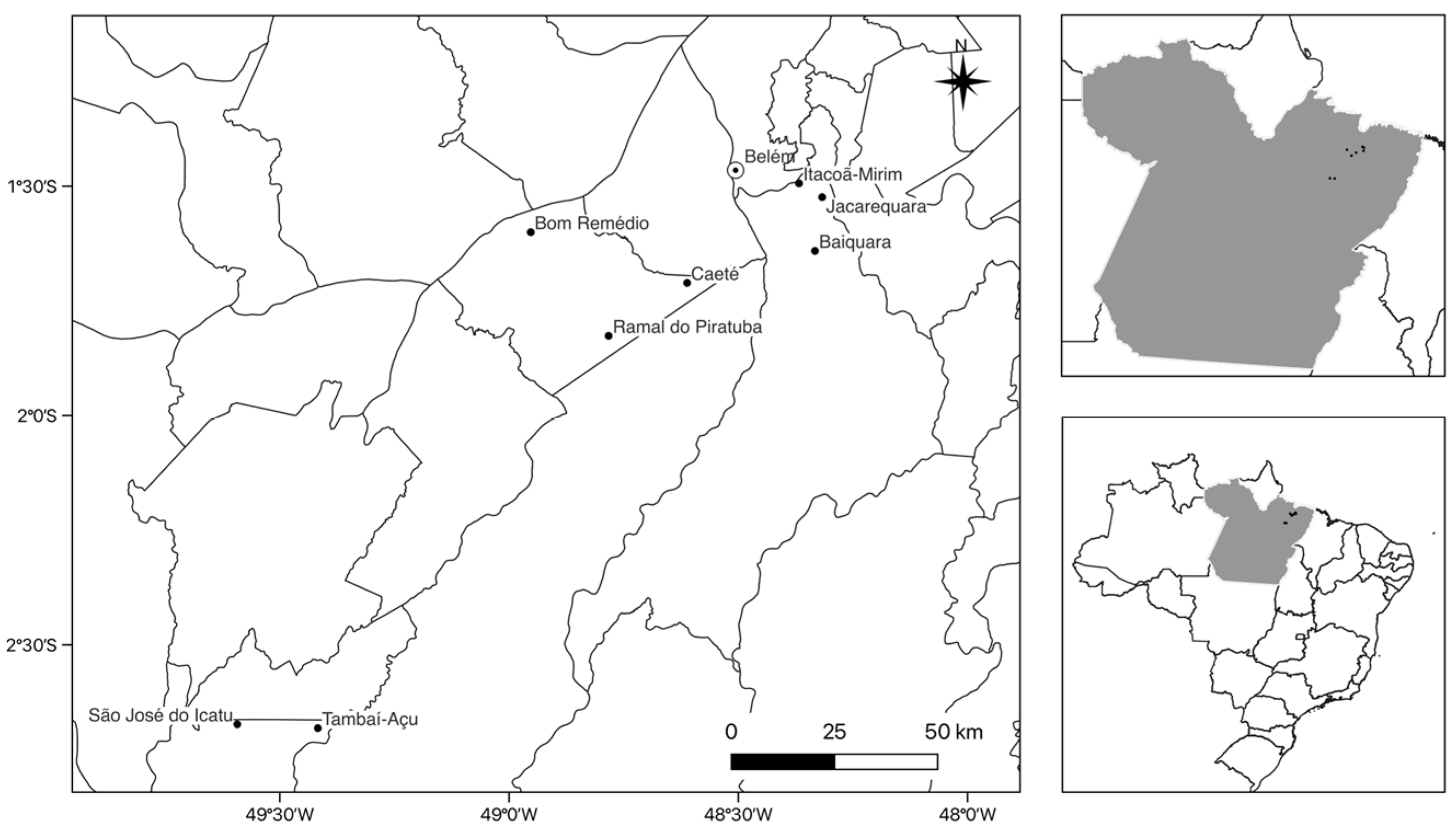 Viruses 16 01290 g001