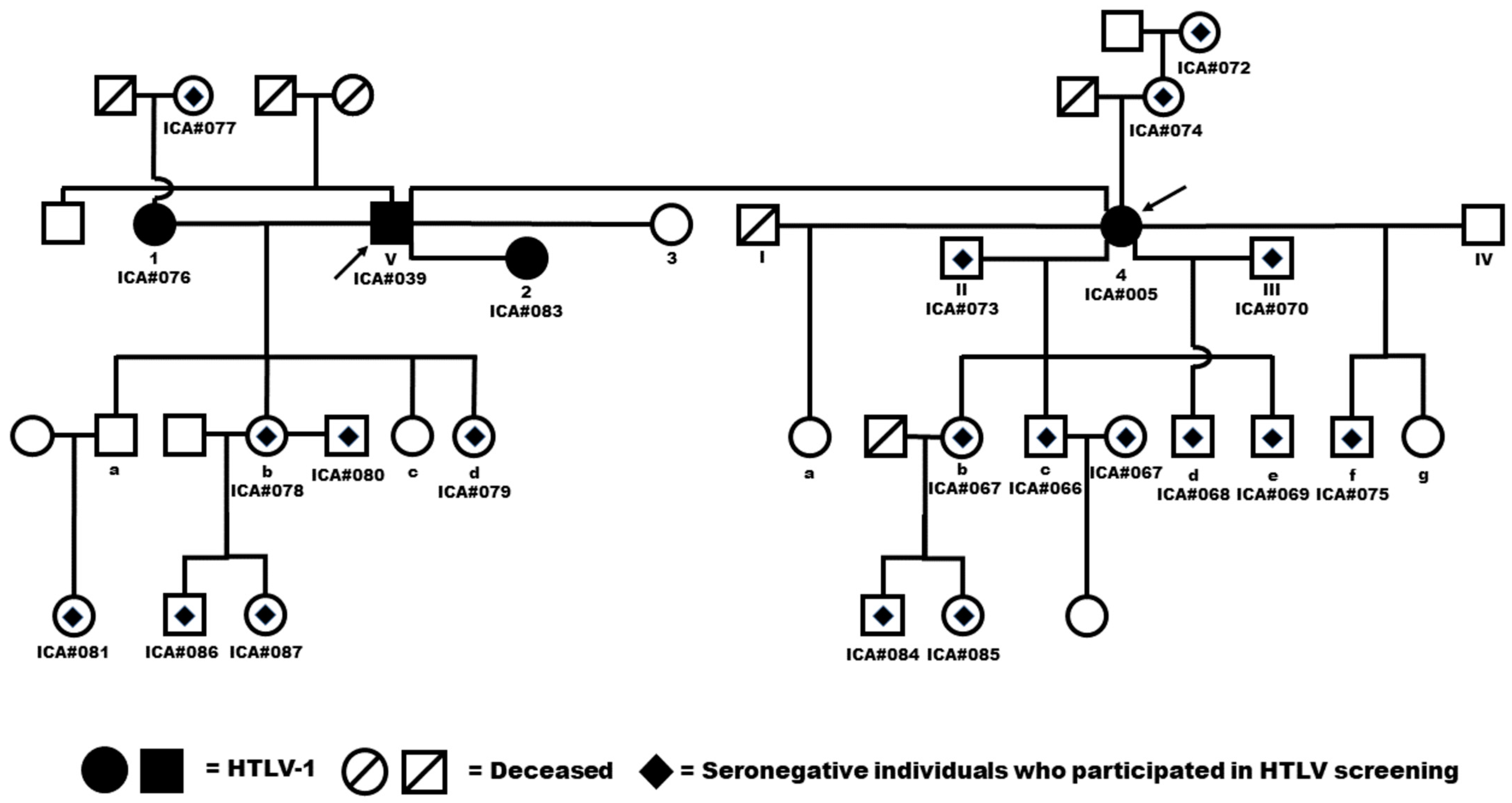 Viruses 16 01290 g002