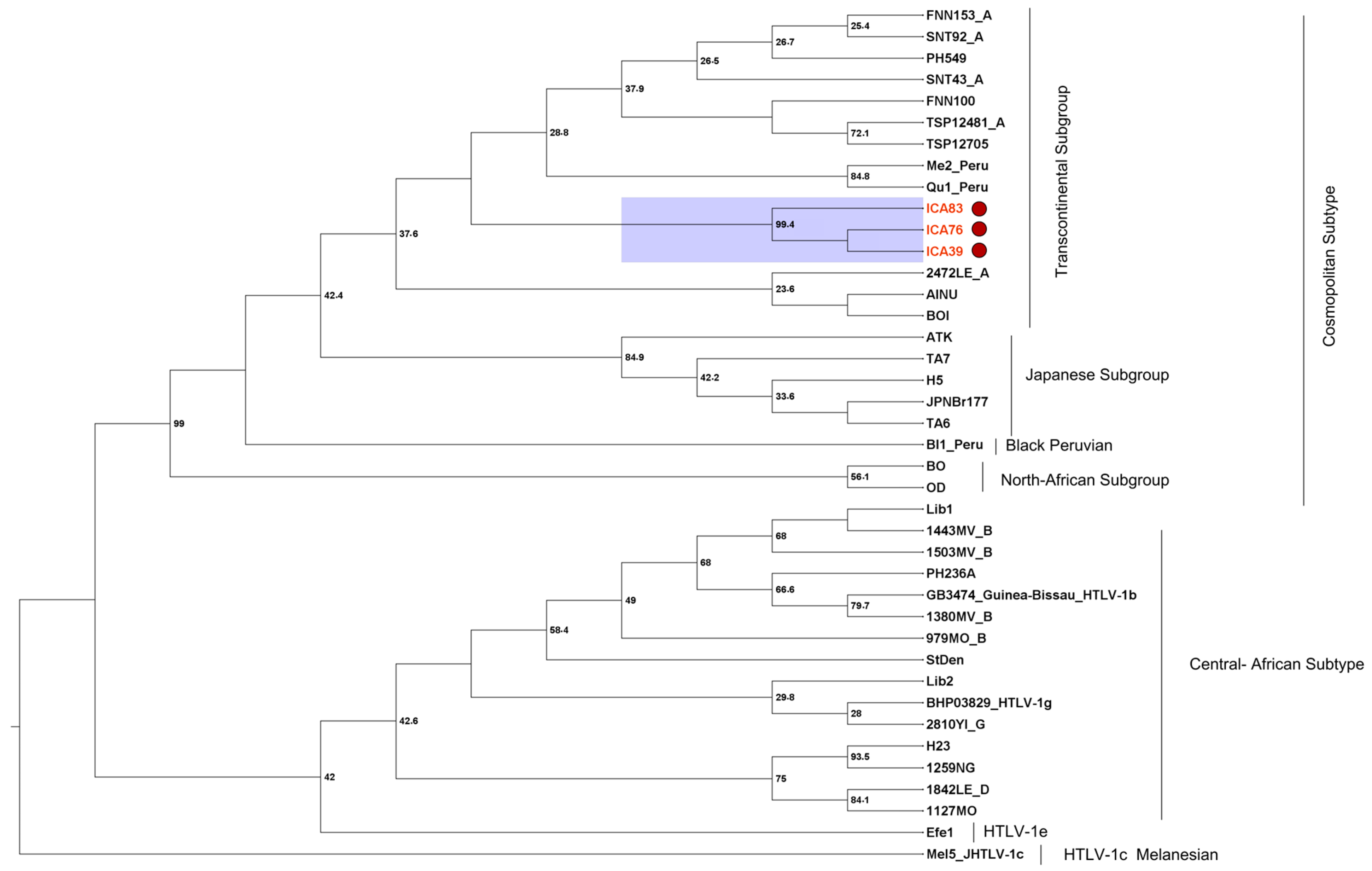 Viruses 16 01290 g003