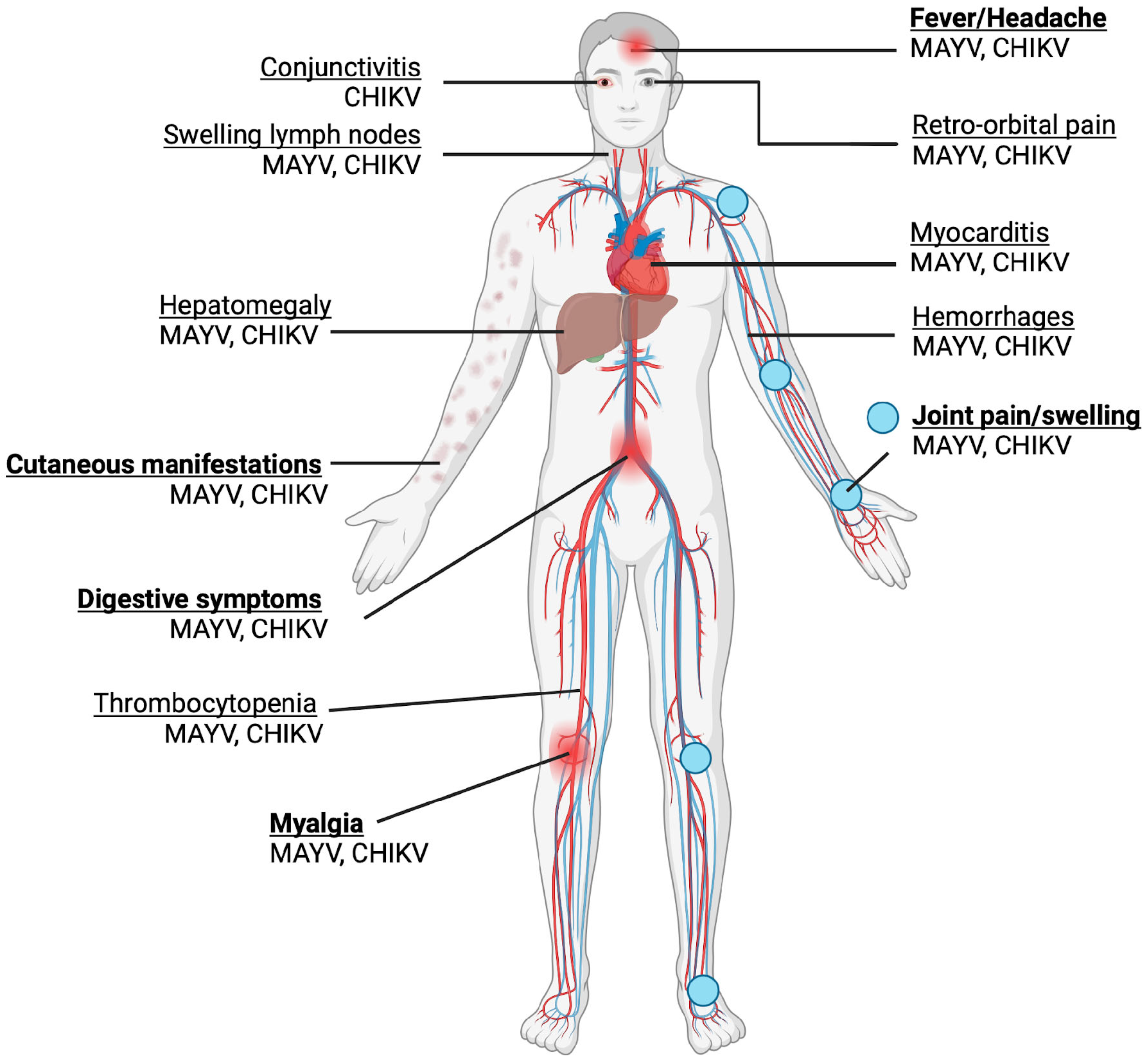 Viruses 16 01297 g003