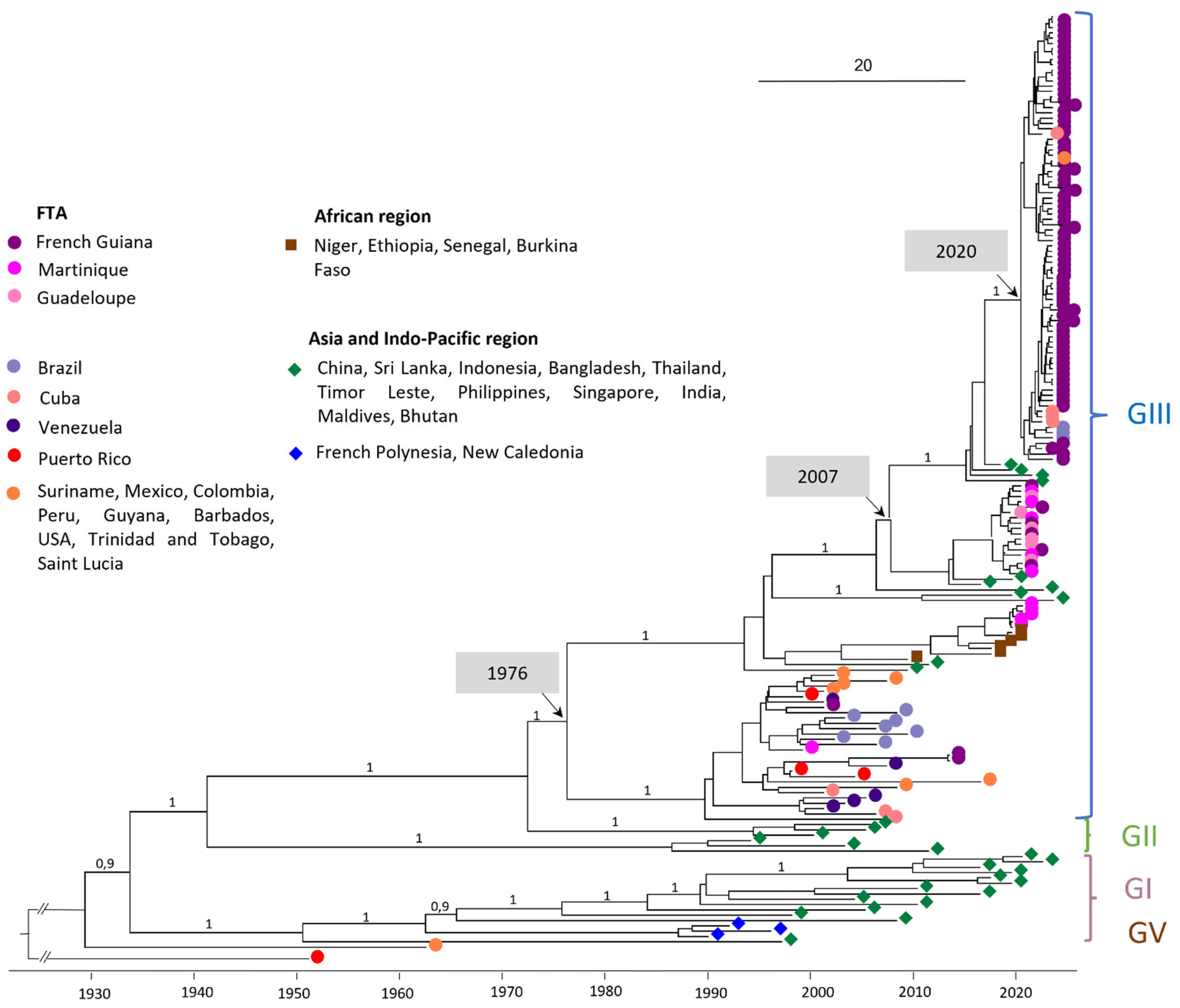 Viruses 16 01298 g001