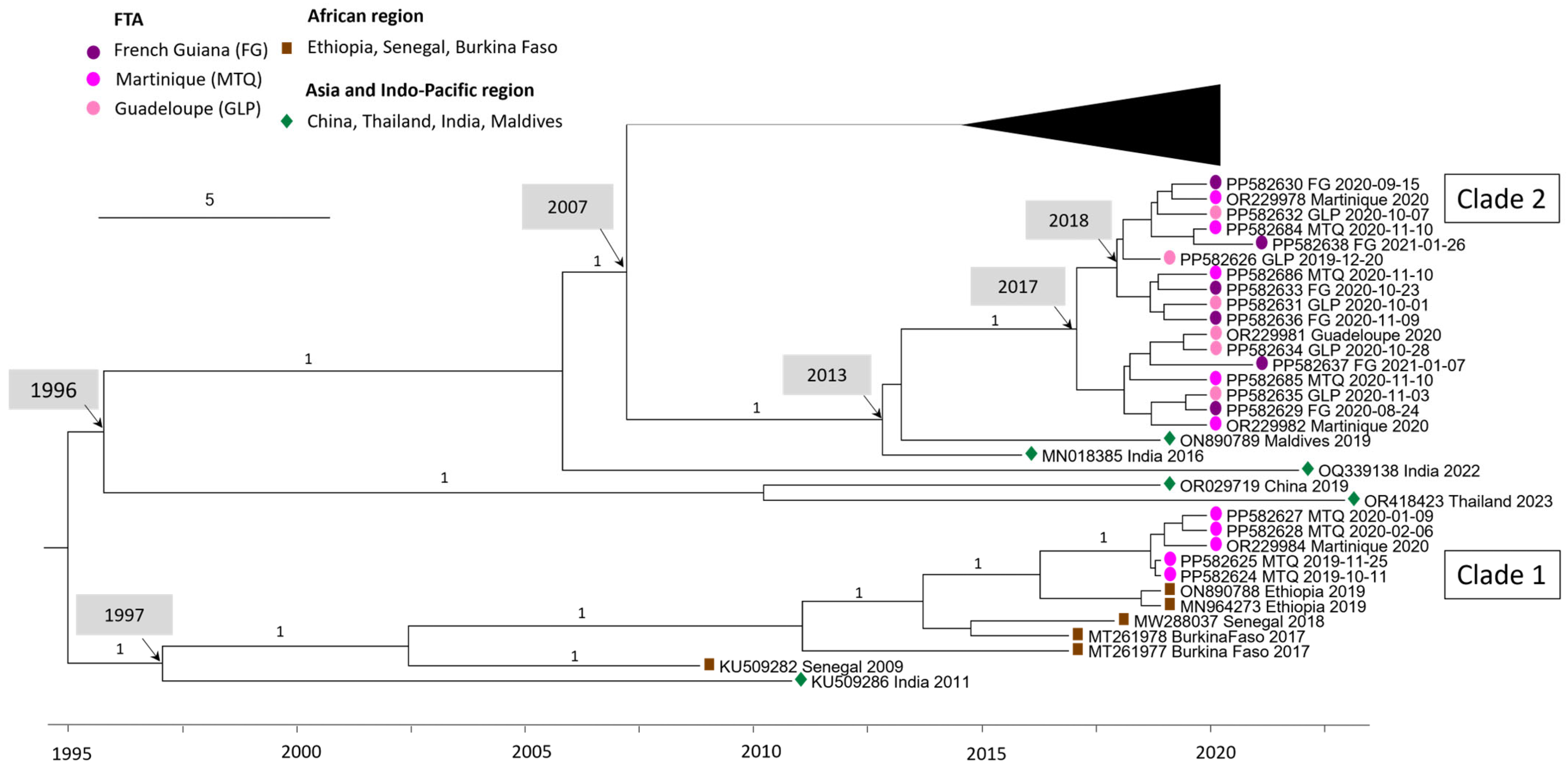 Viruses 16 01298 g002