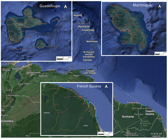 Viruses 16 01298 g0a1