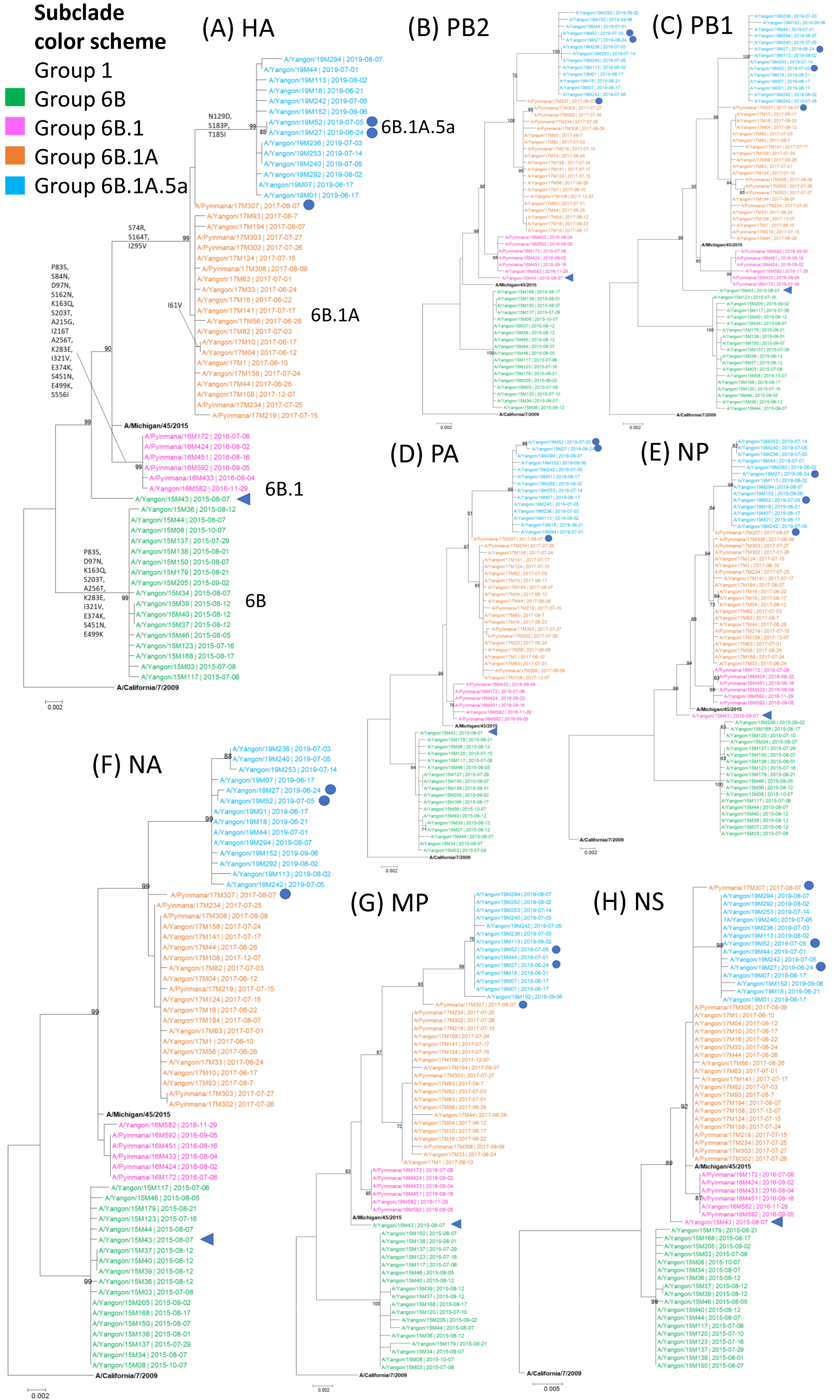 Viruses 16 01300 g001