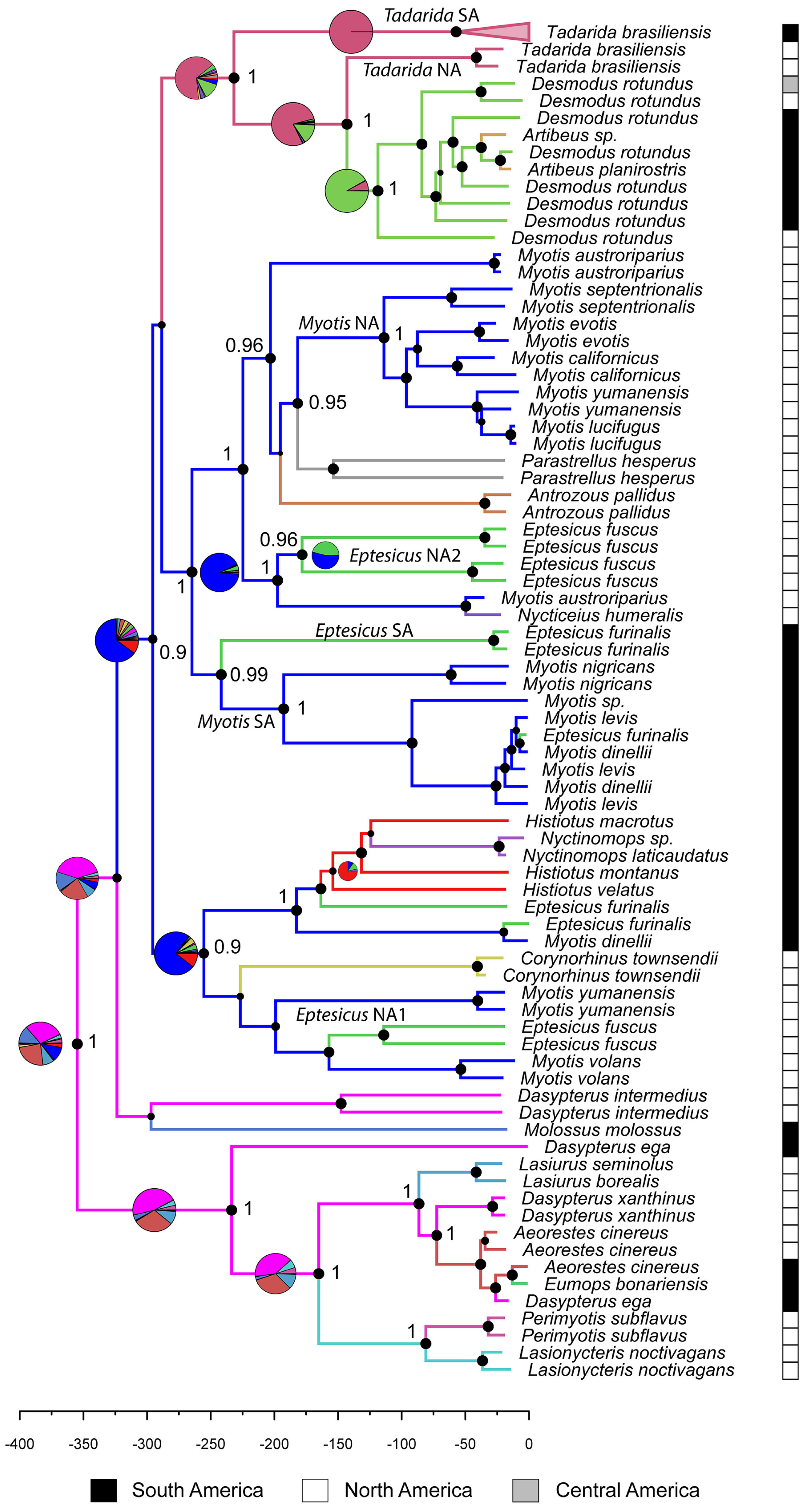 Viruses 16 01302 g002