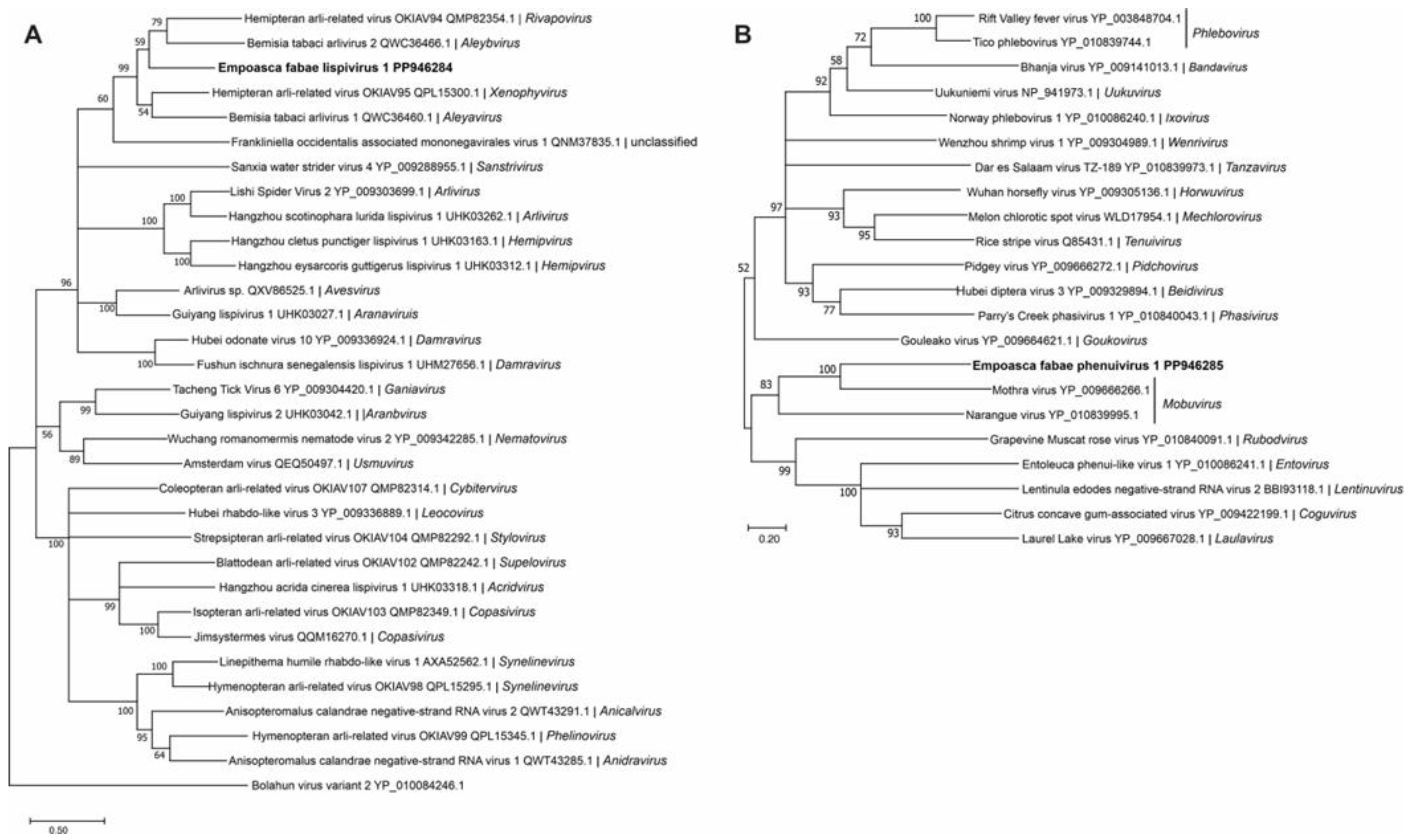 Viruses 16 01305 g003