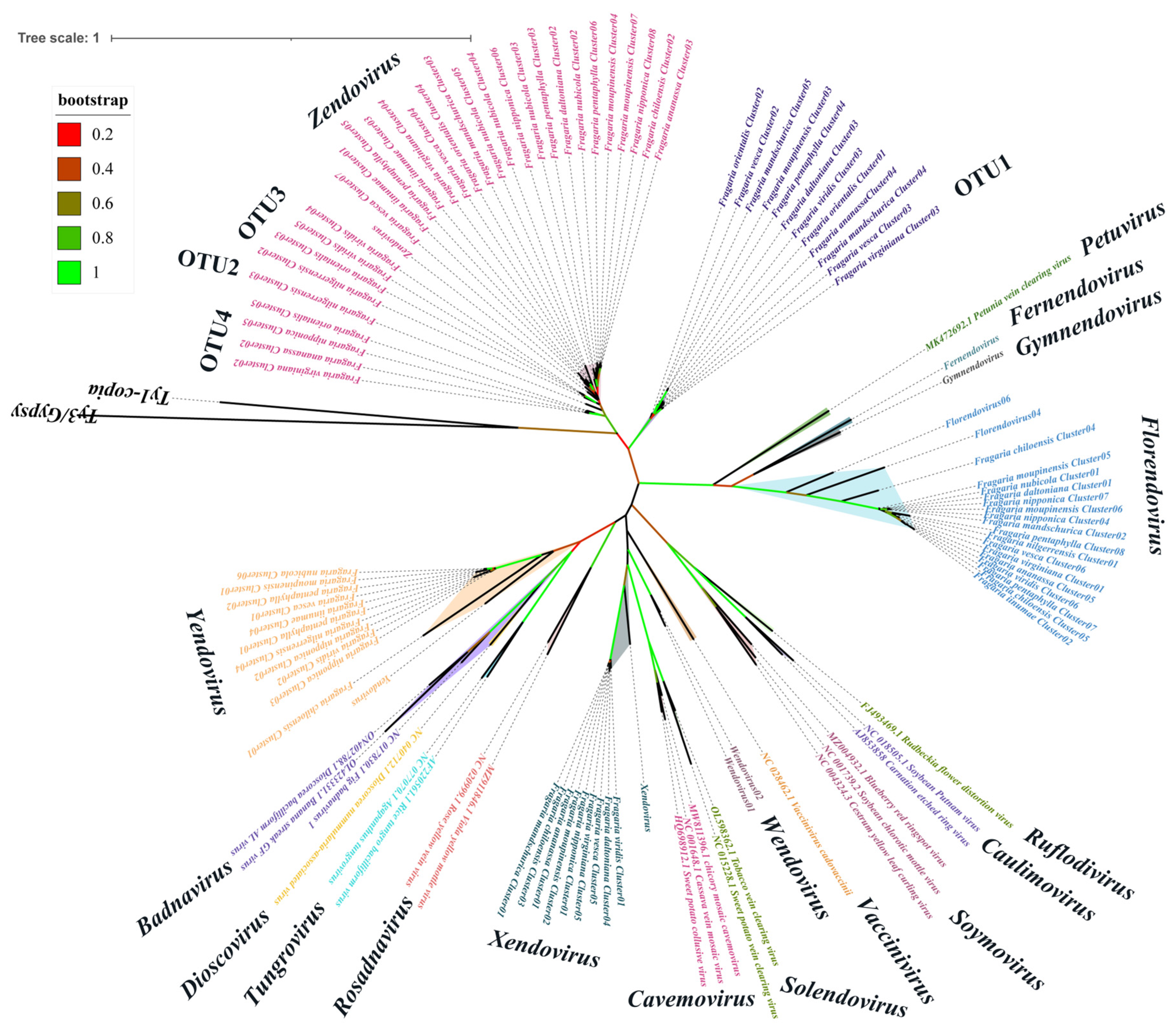 Viruses 16 01306 g001 Viruses 16 01306 g001