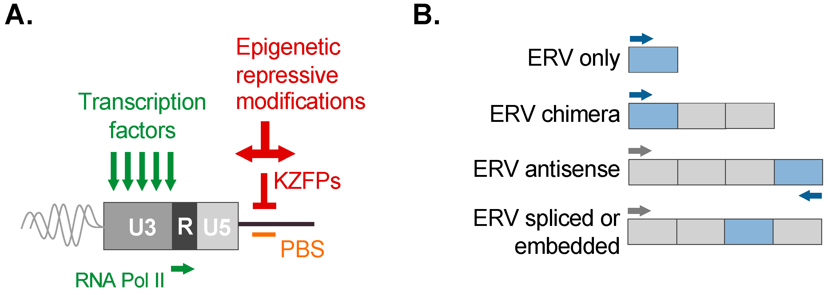 Viruses 16 01312 g003