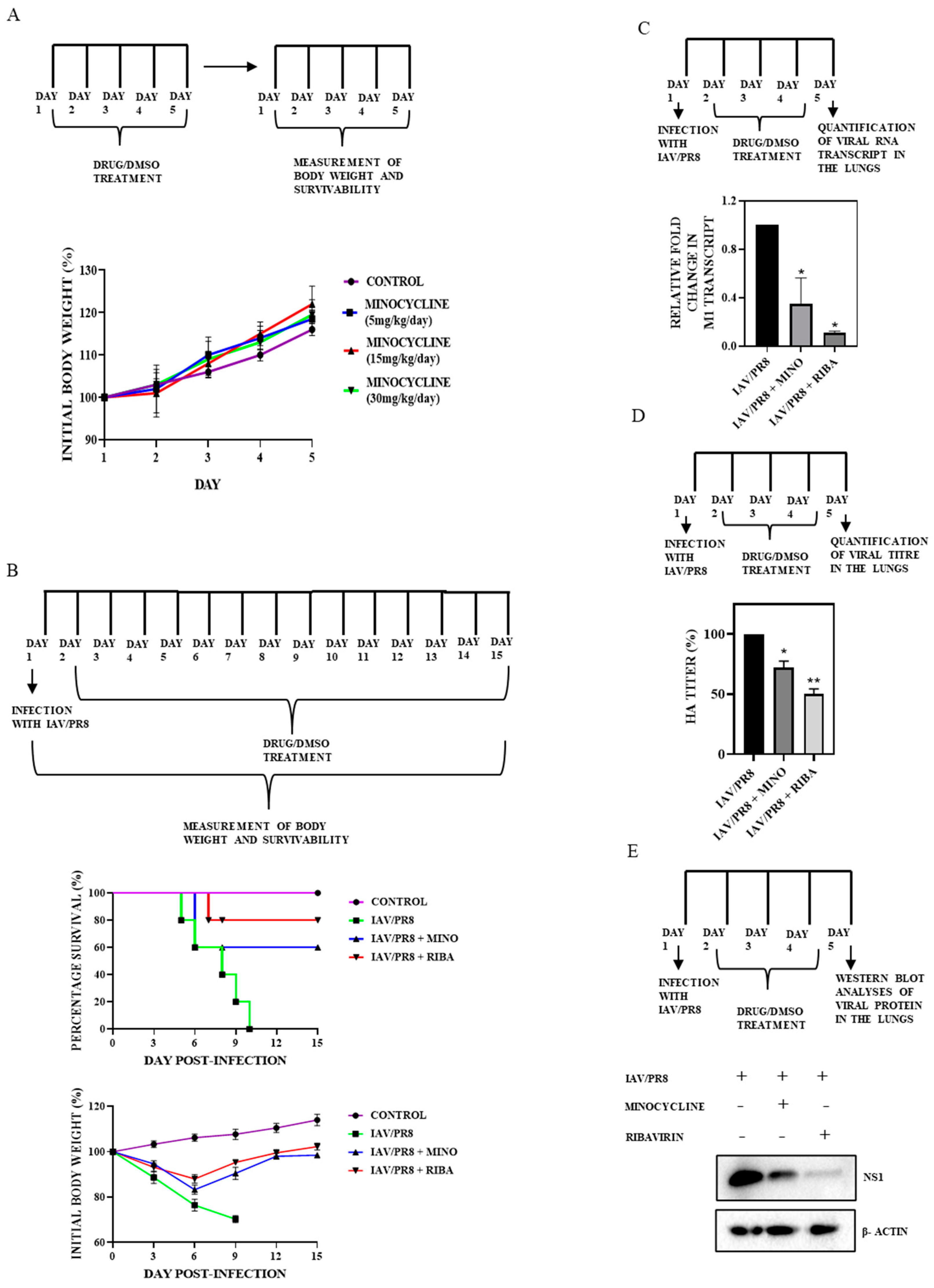 Viruses 16 01317 g005