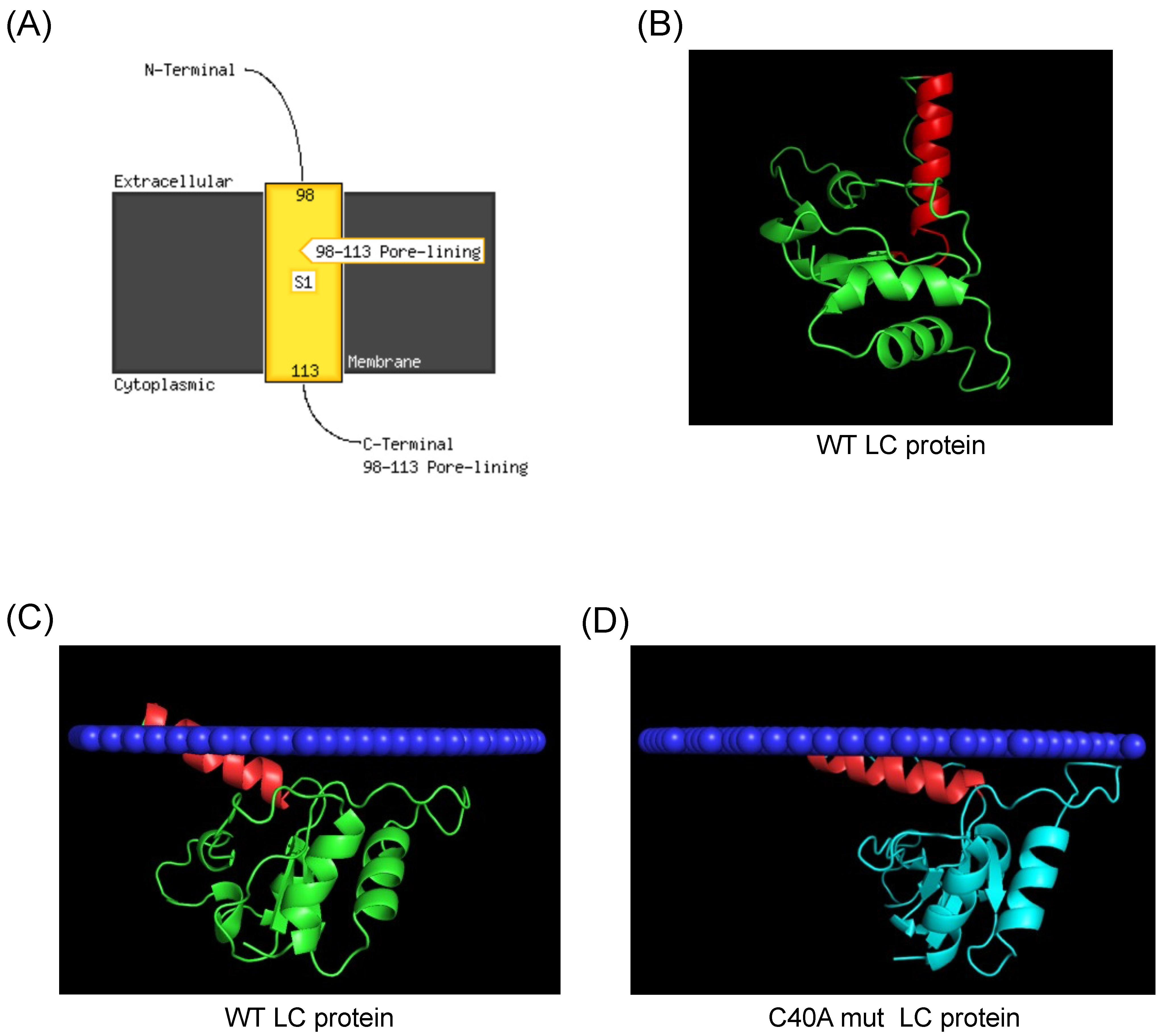 Viruses 16 01319 g002