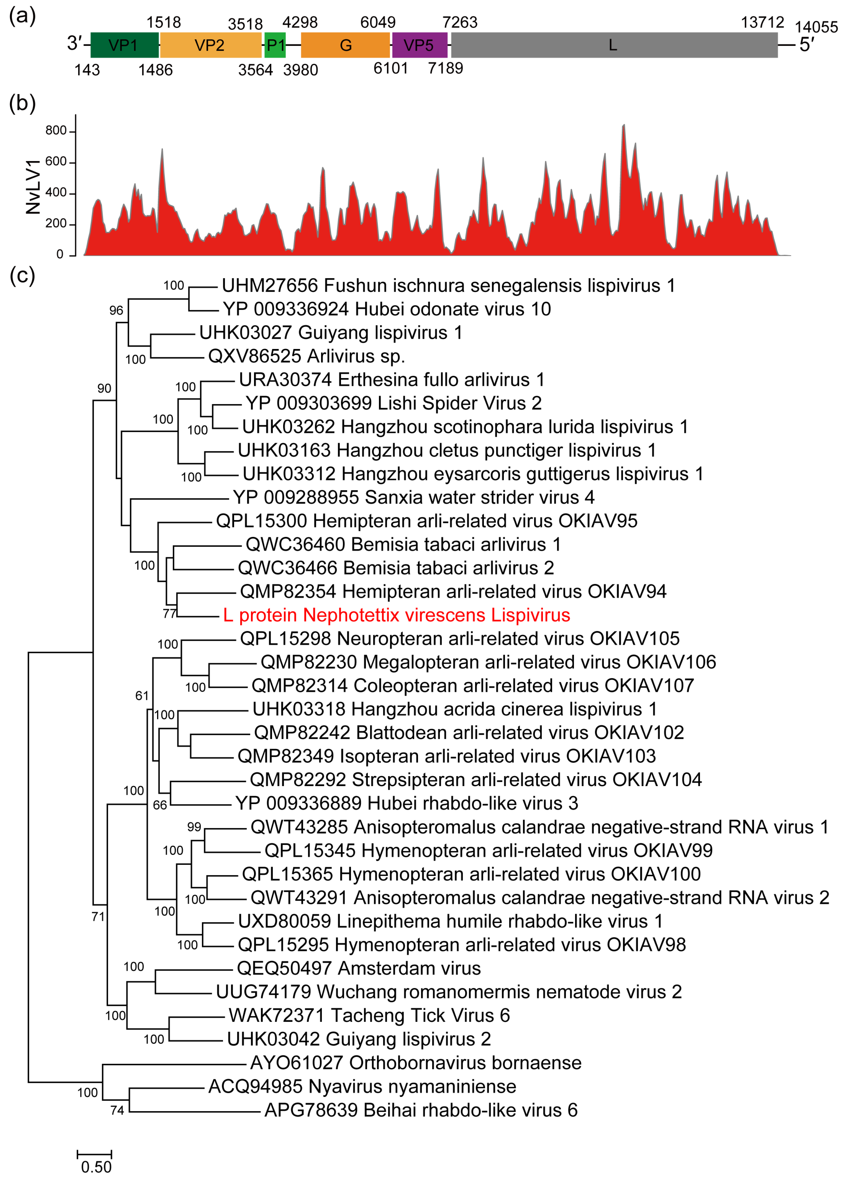Viruses 16 01321 g004