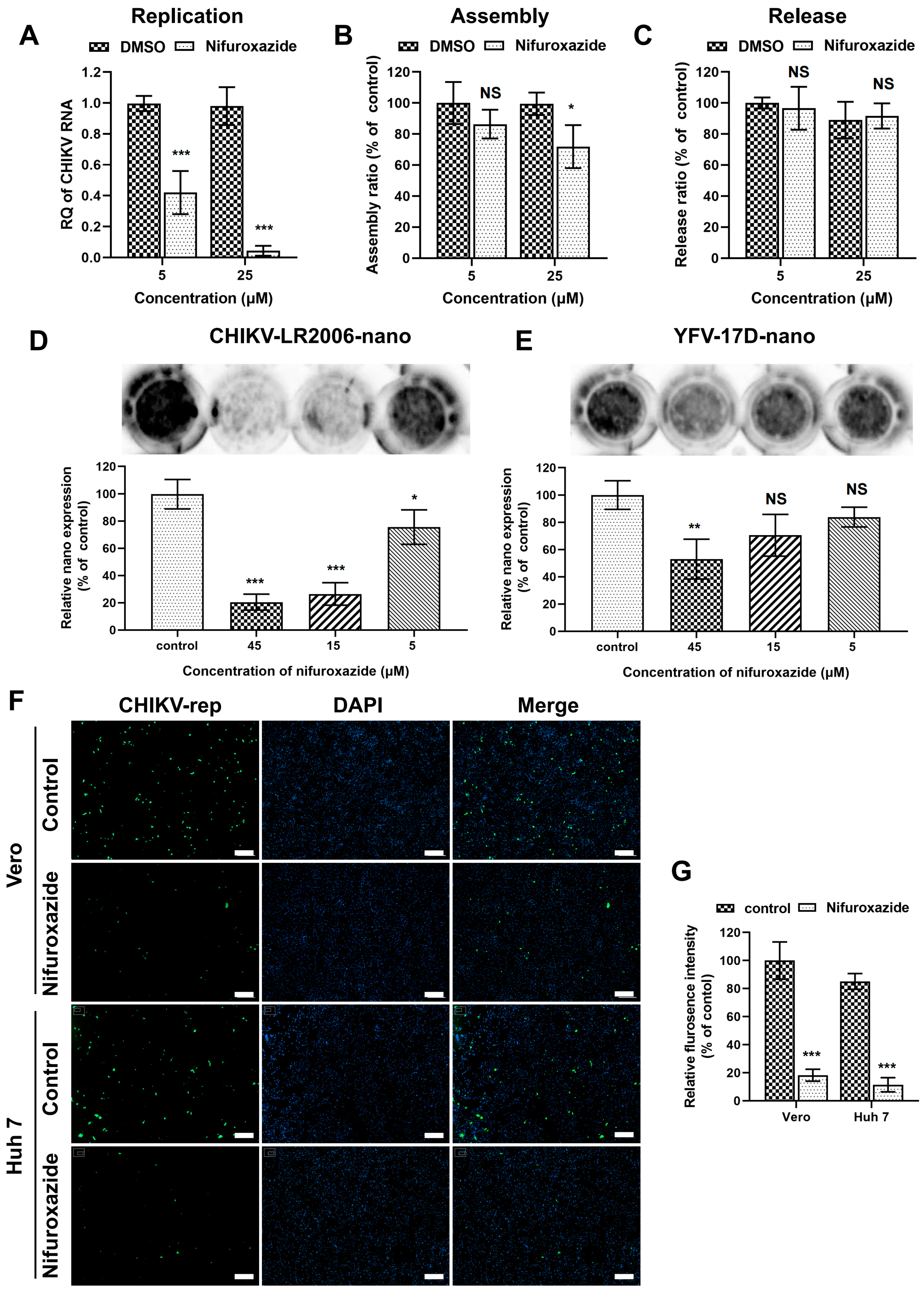 Viruses 16 01322 g004