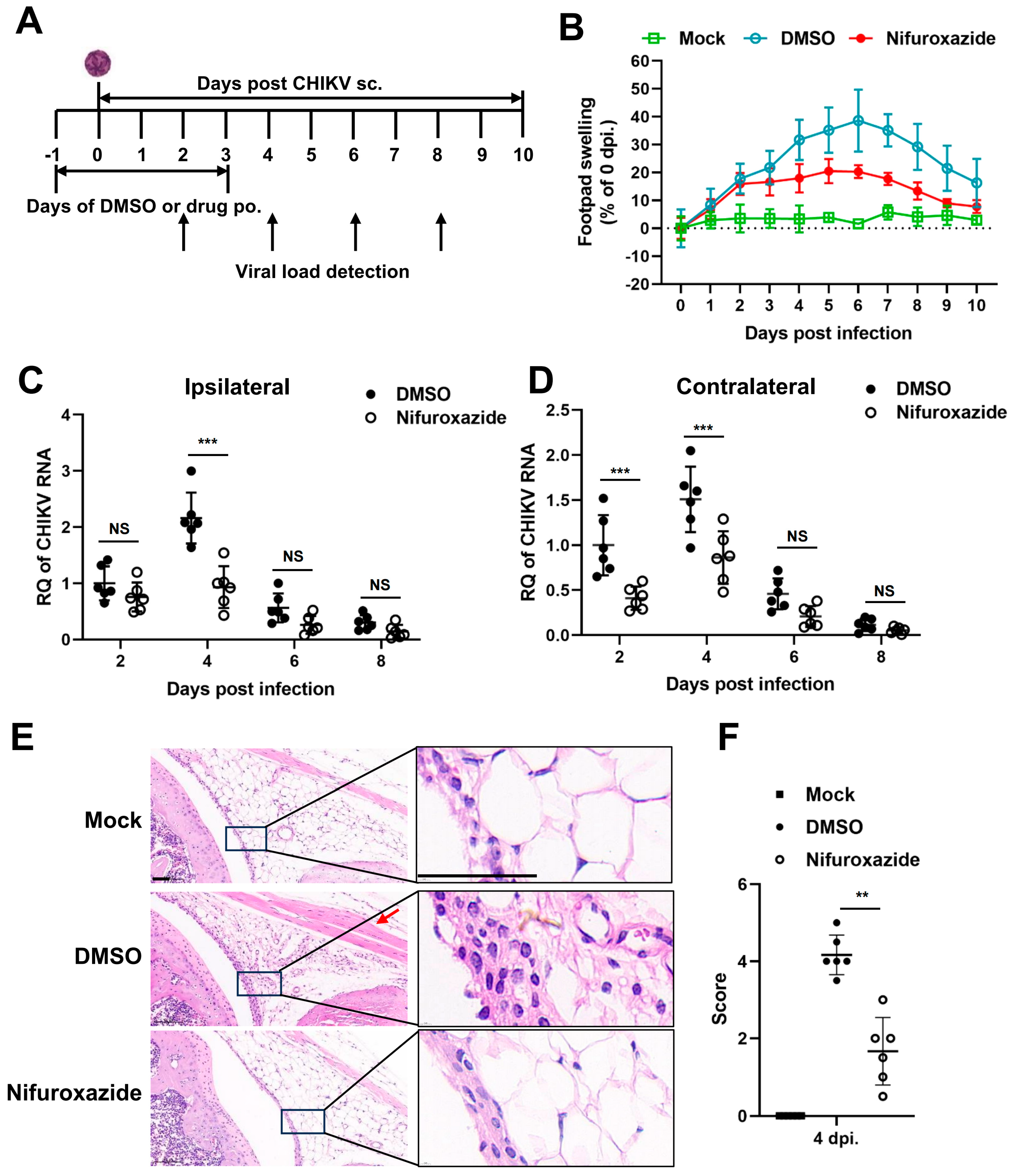Viruses 16 01322 g005
