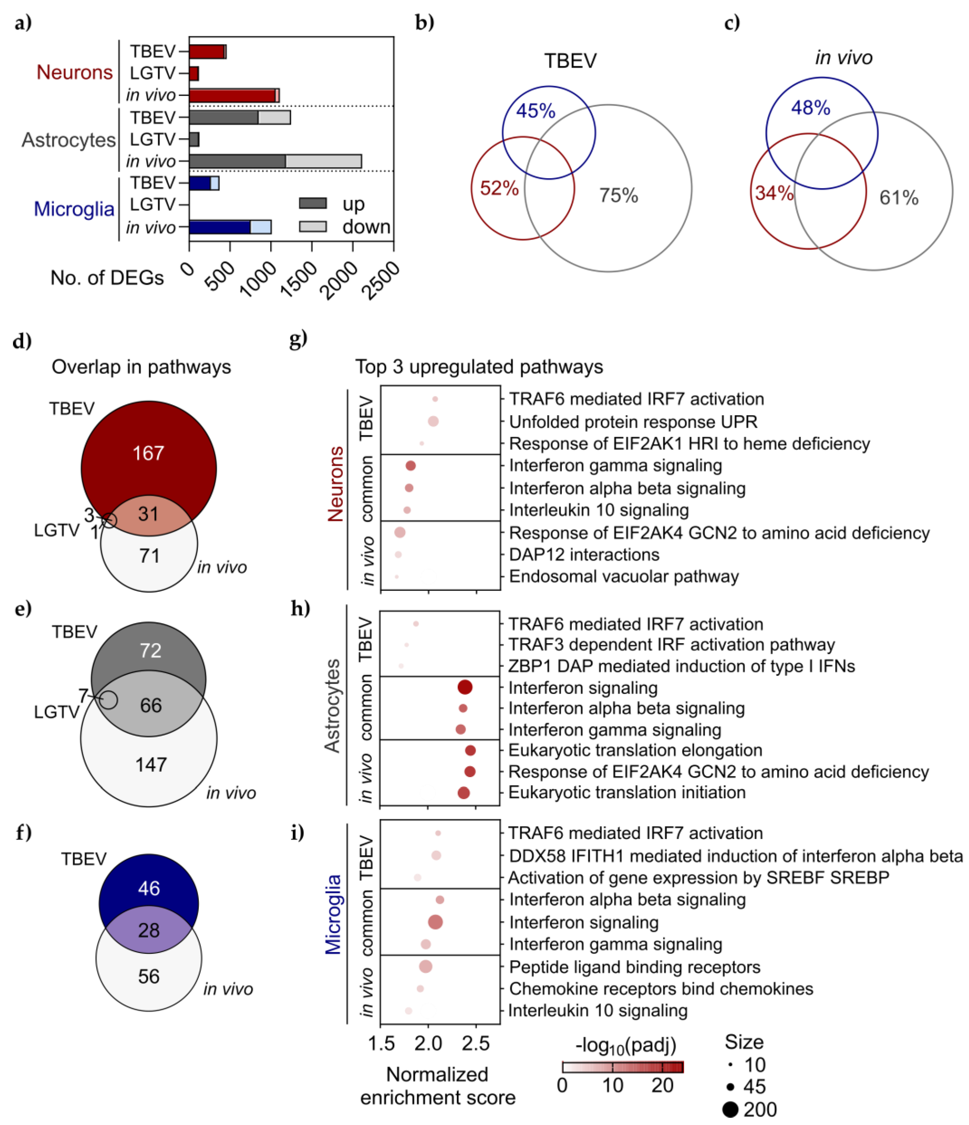Viruses 16 01327 g004