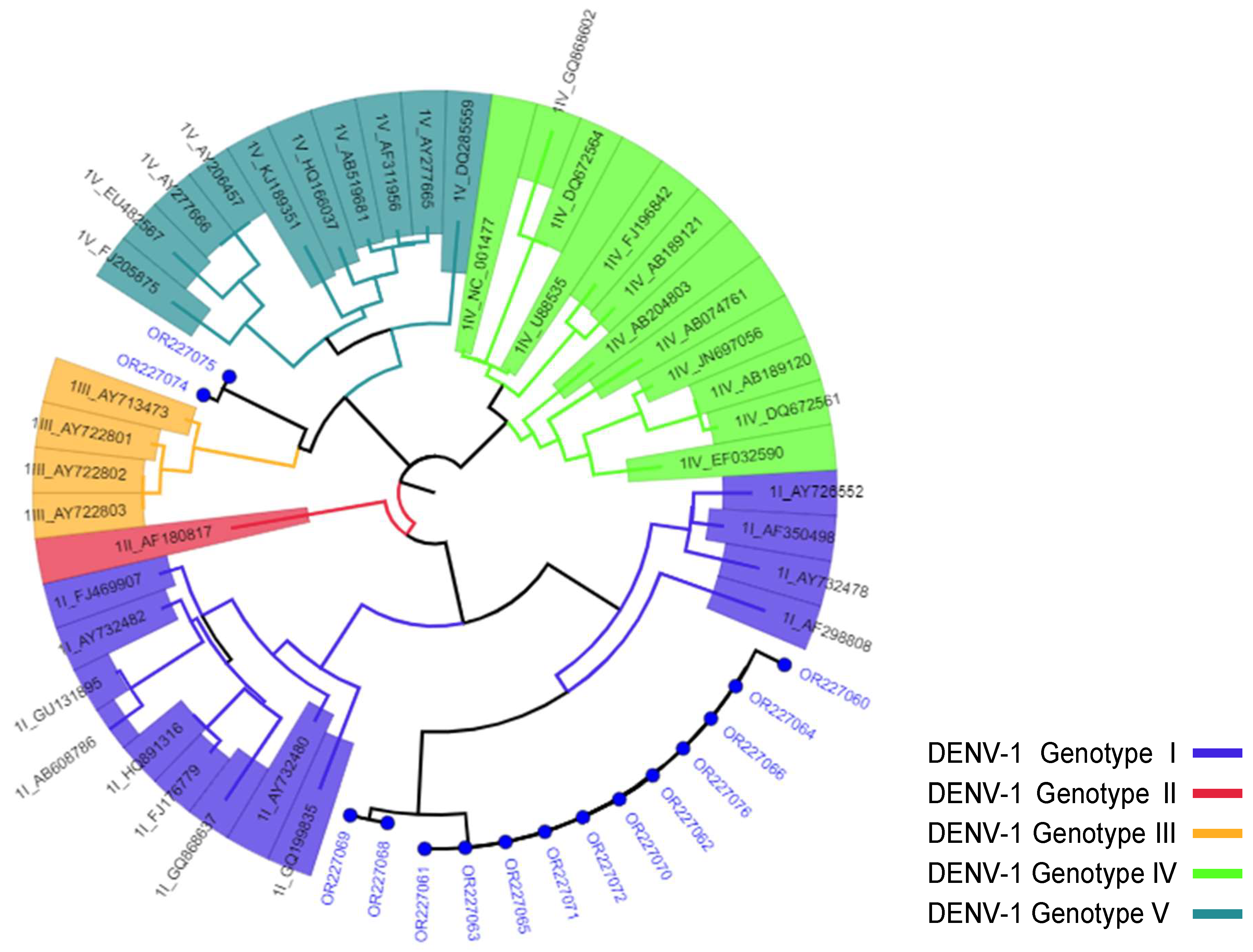 Viruses 16 01334 g002 Viruses 16 01334 g002