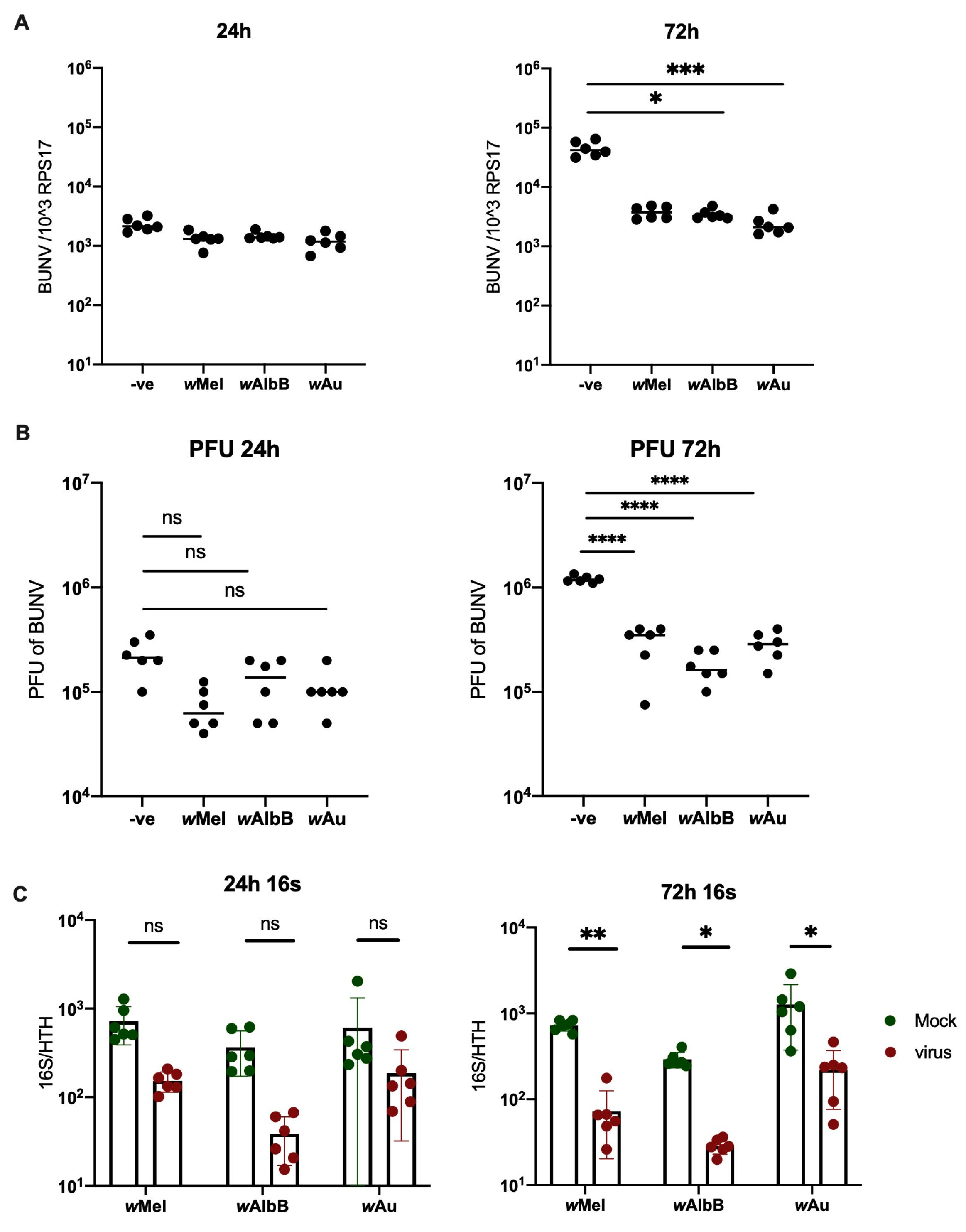 Viruses 16 01336 g001