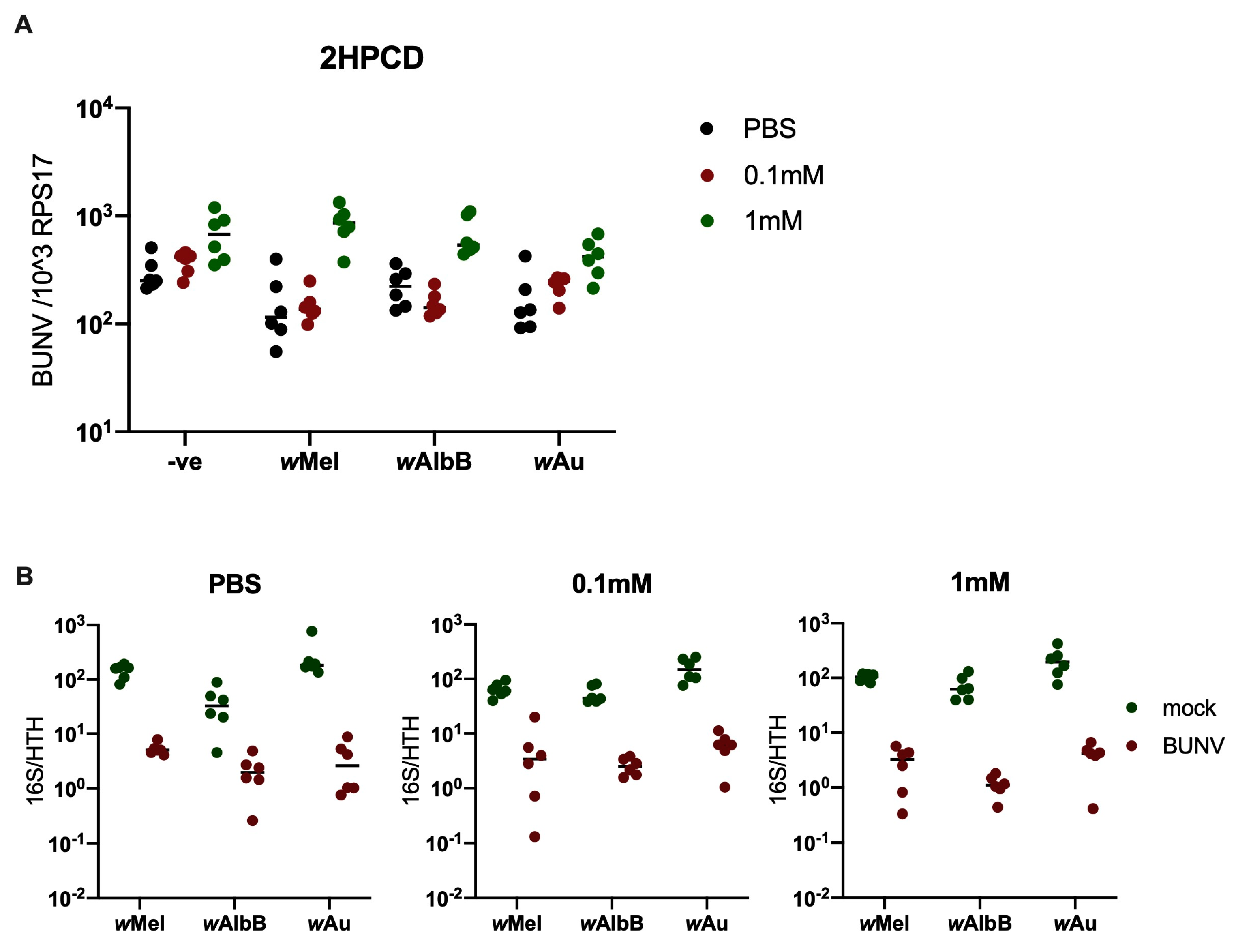 Viruses 16 01336 g002
