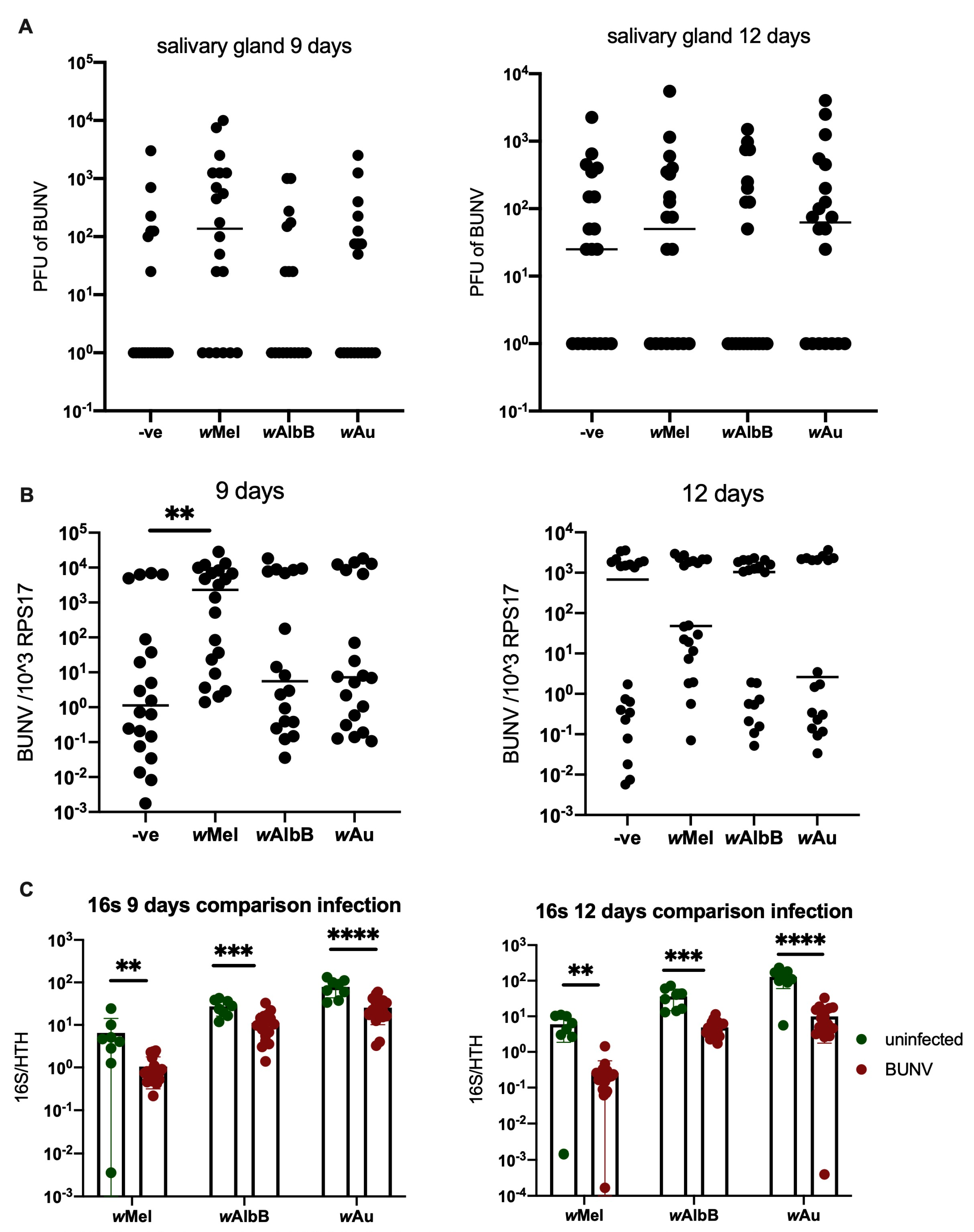 Viruses 16 01336 g003