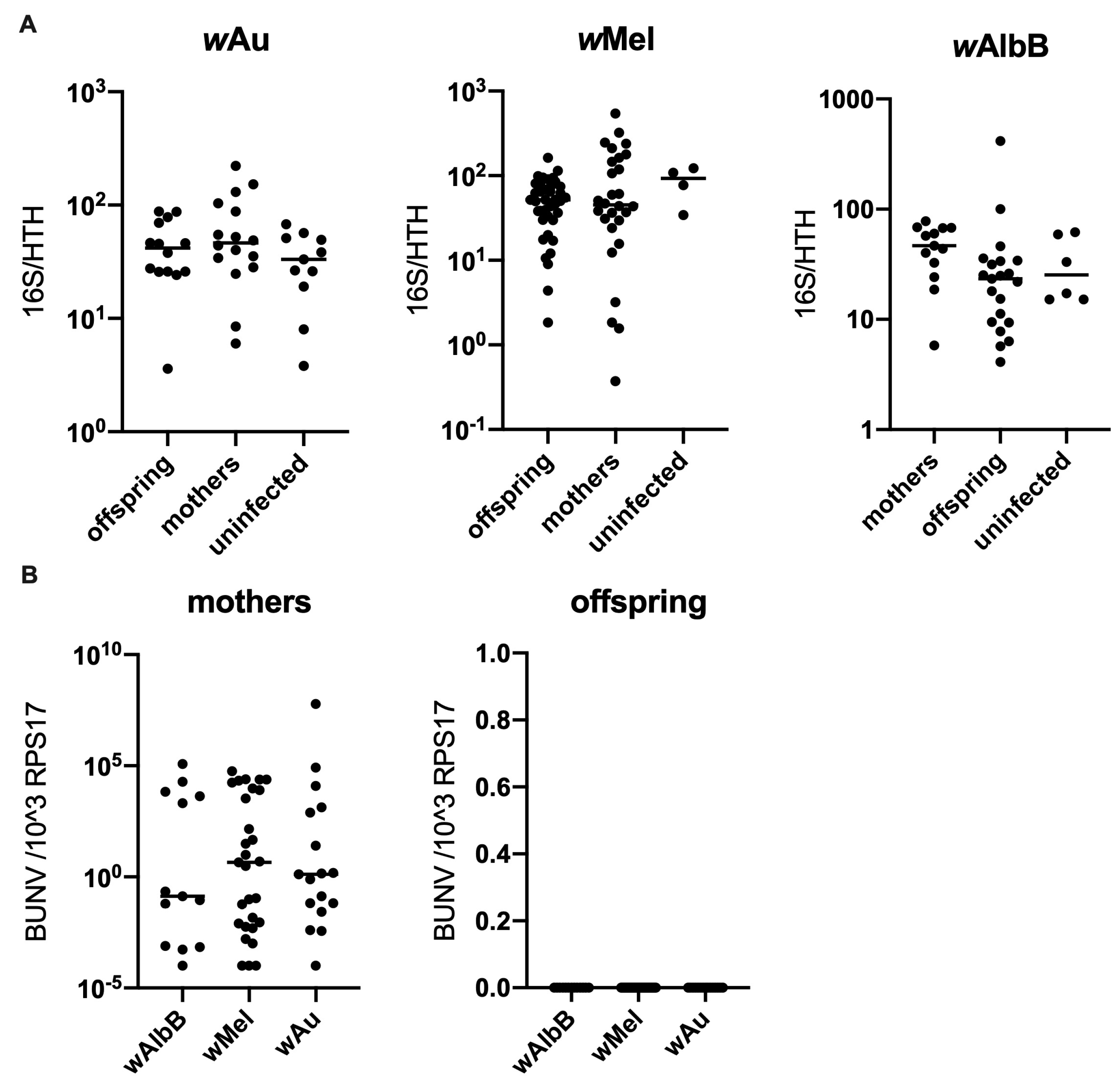 Viruses 16 01336 g004