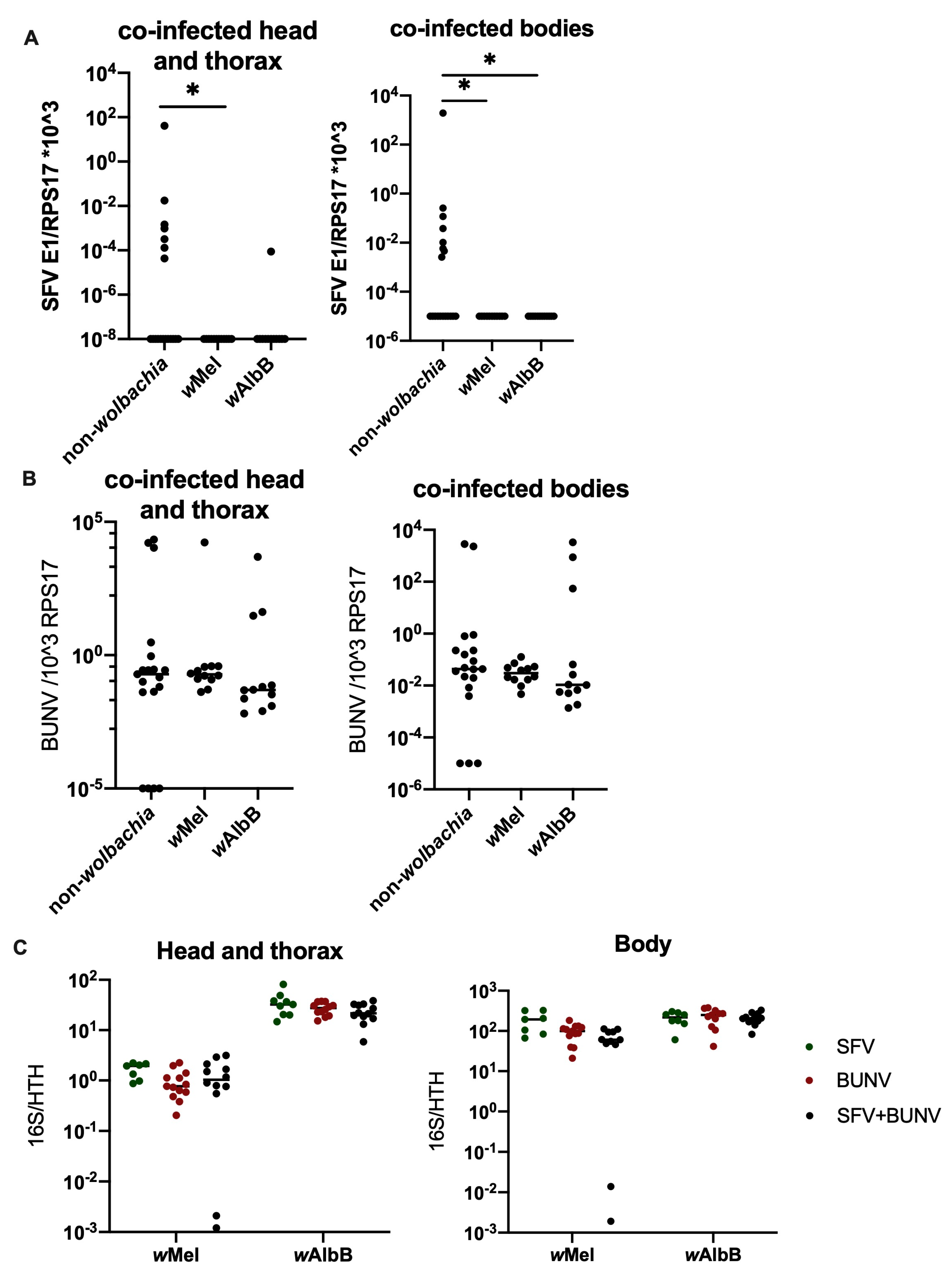 Viruses 16 01336 g005