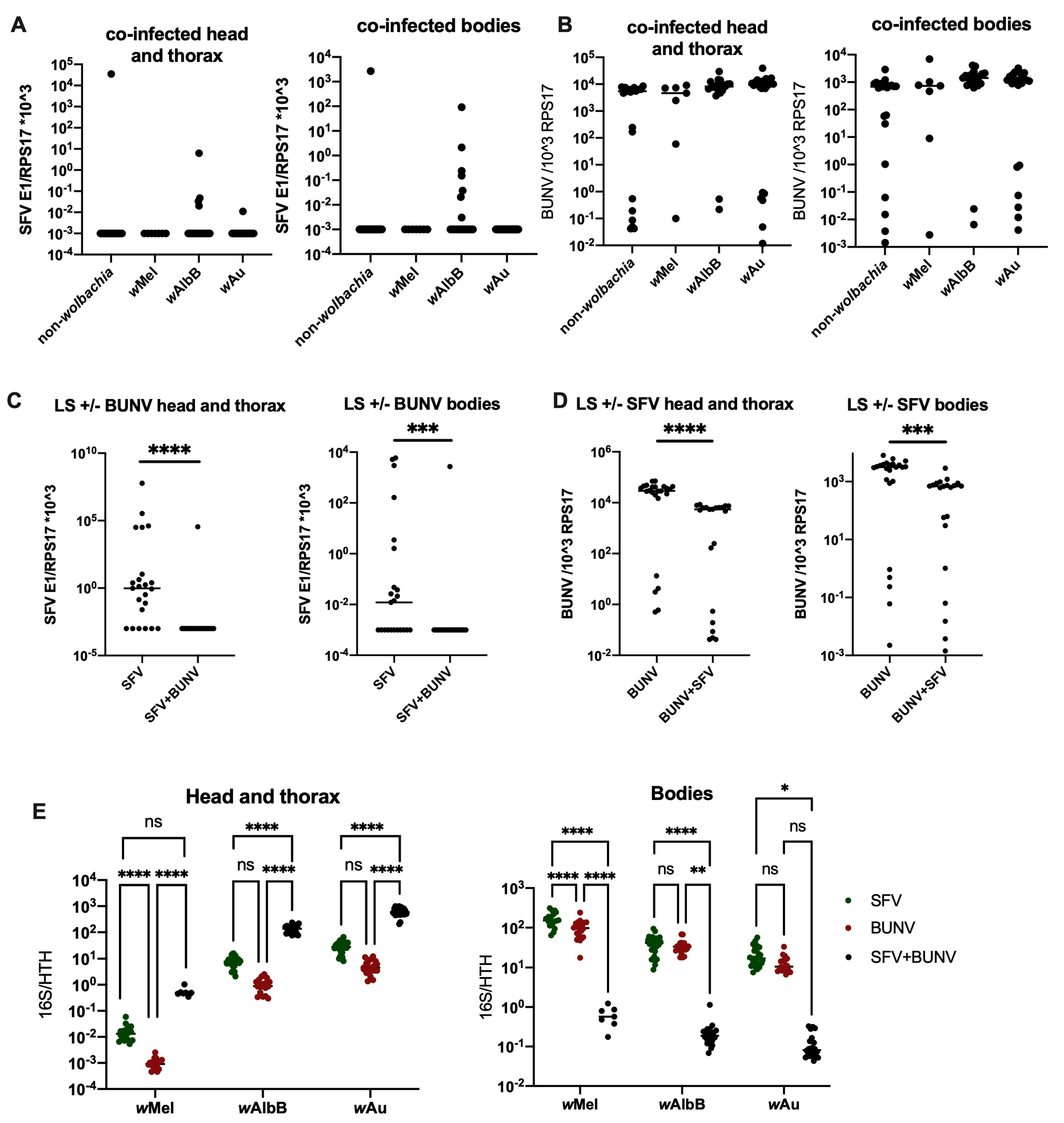Viruses 16 01336 g006