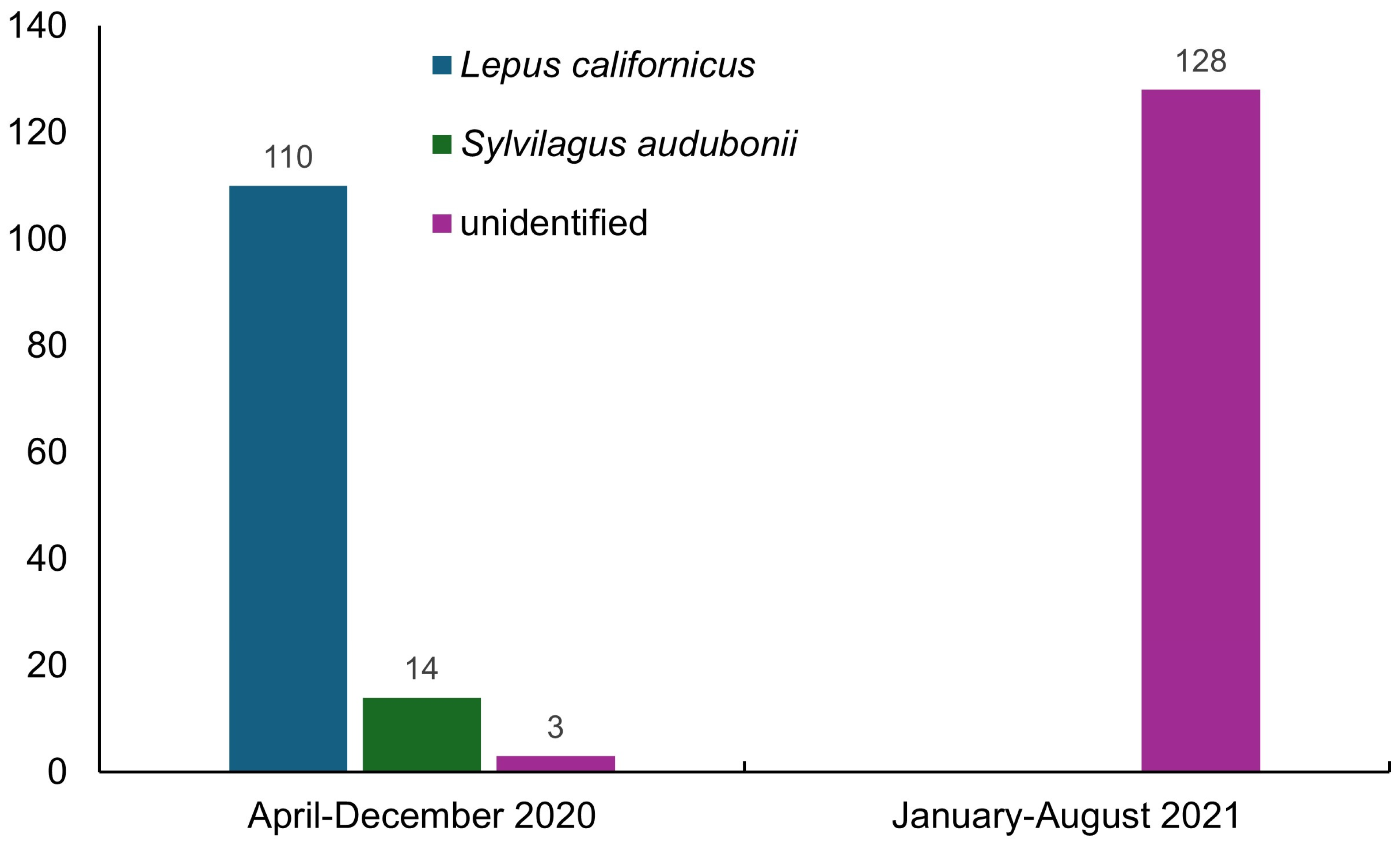 Viruses 16 01344 g002 Viruses 16 01344 g002